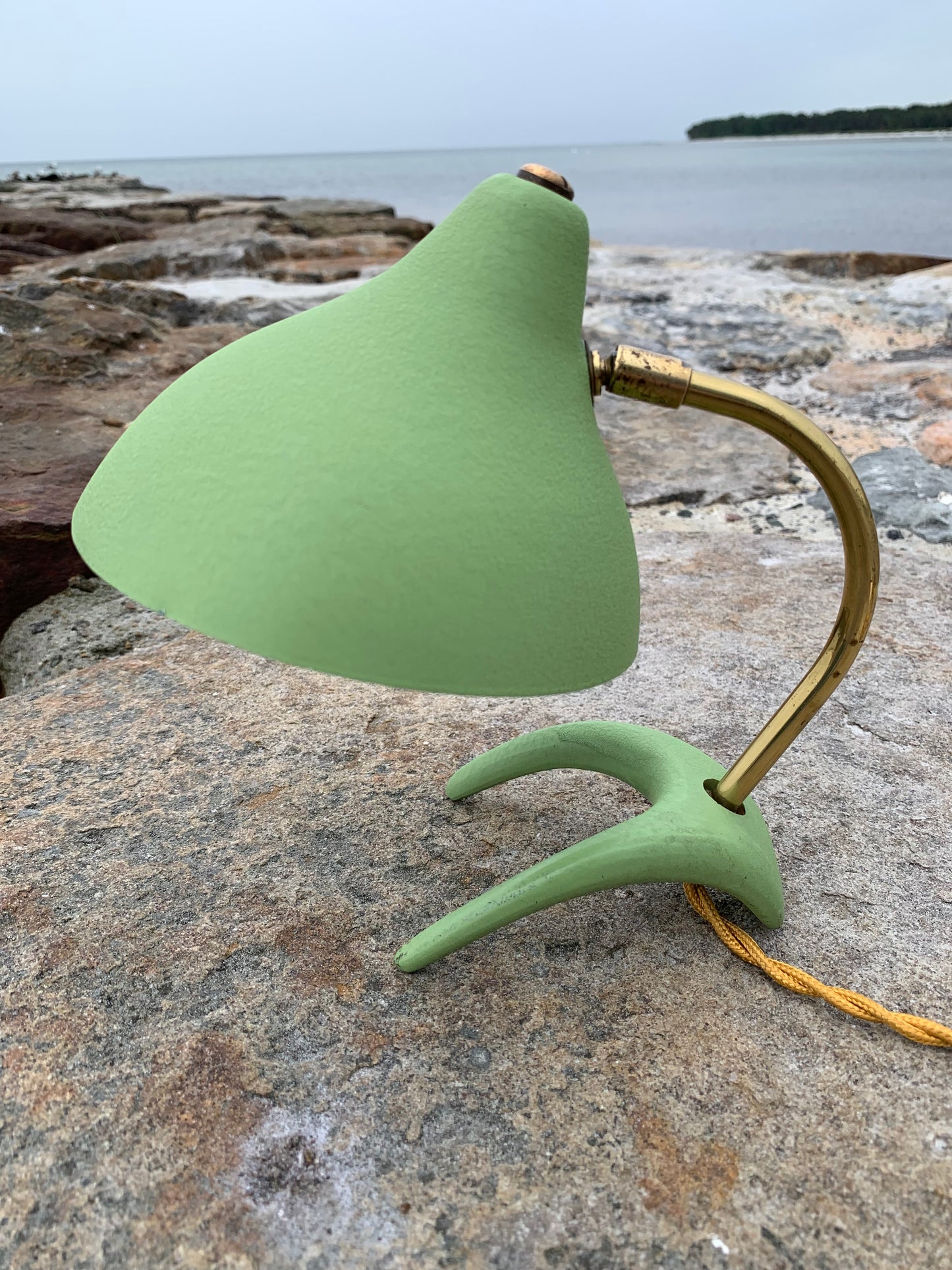 Cosack Crowfoot- Mini