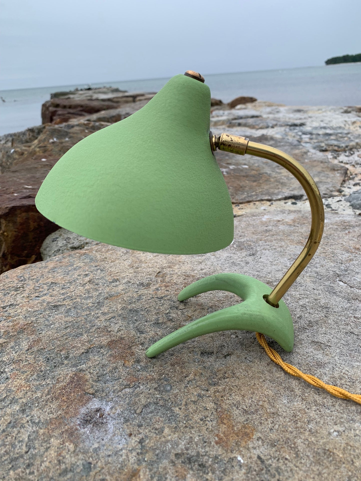 Cosack Crowfoot- Mini