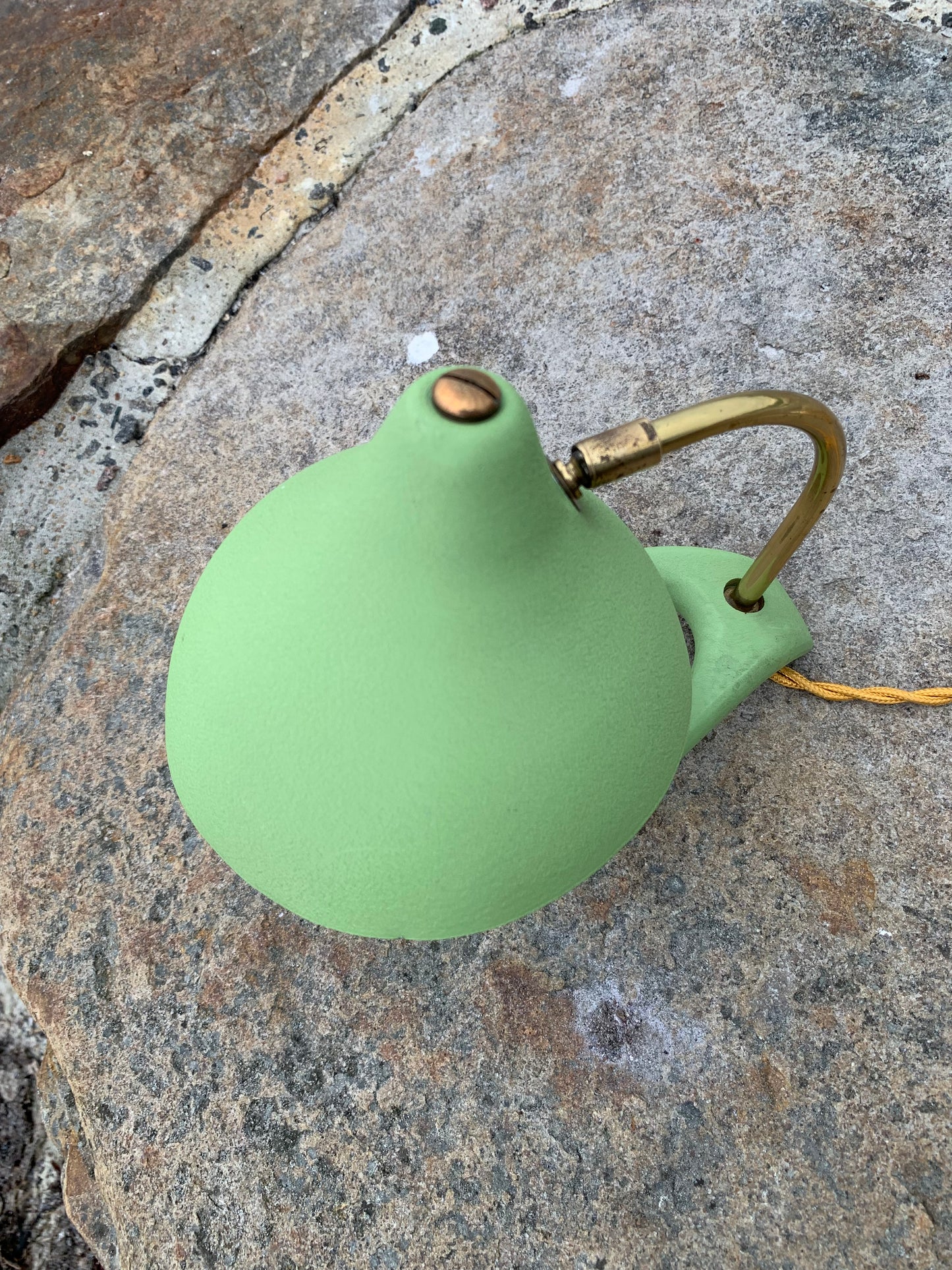 Cosack Crowfoot- Mini