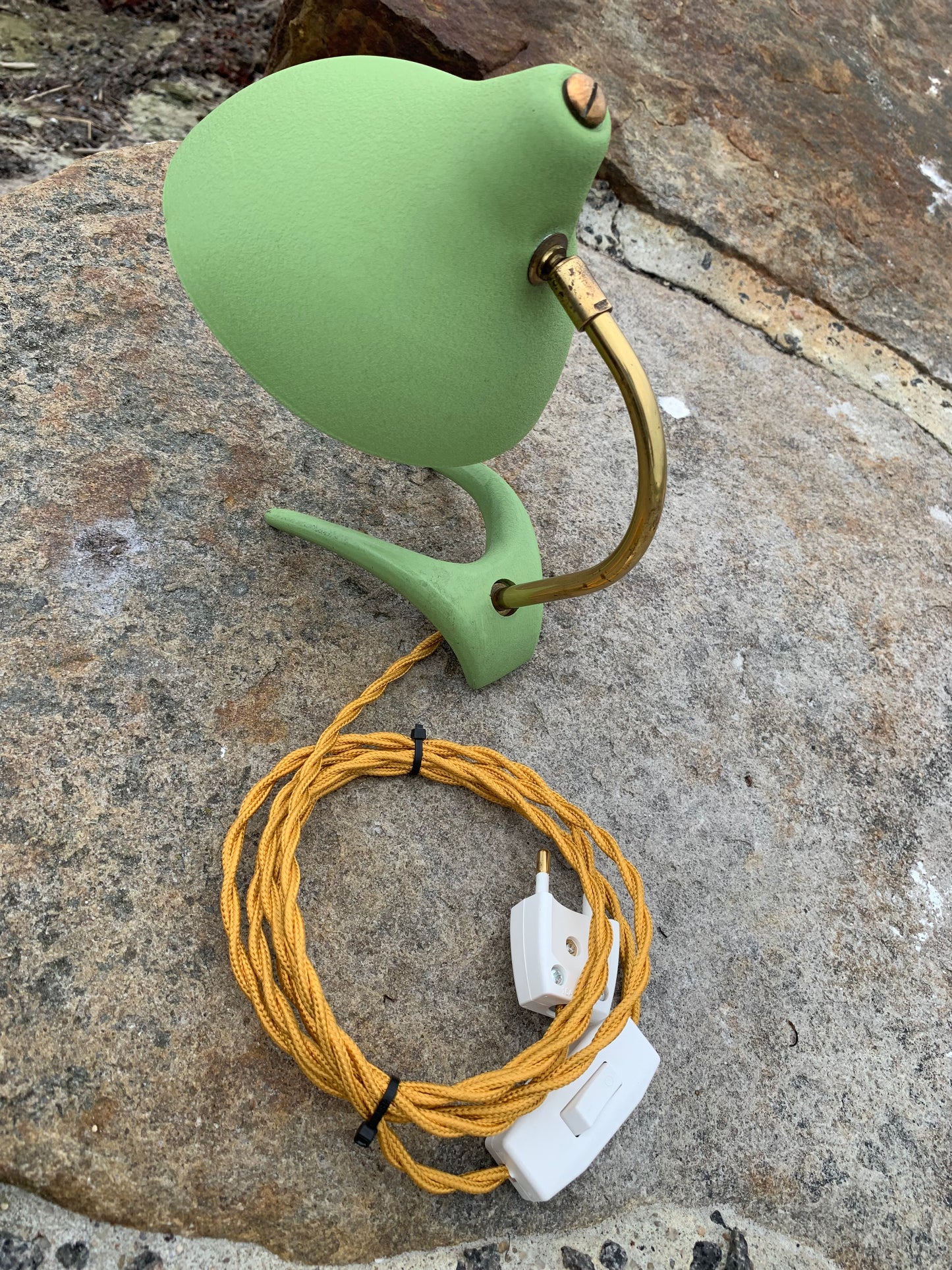 Cosack Crowfoot- Mini
