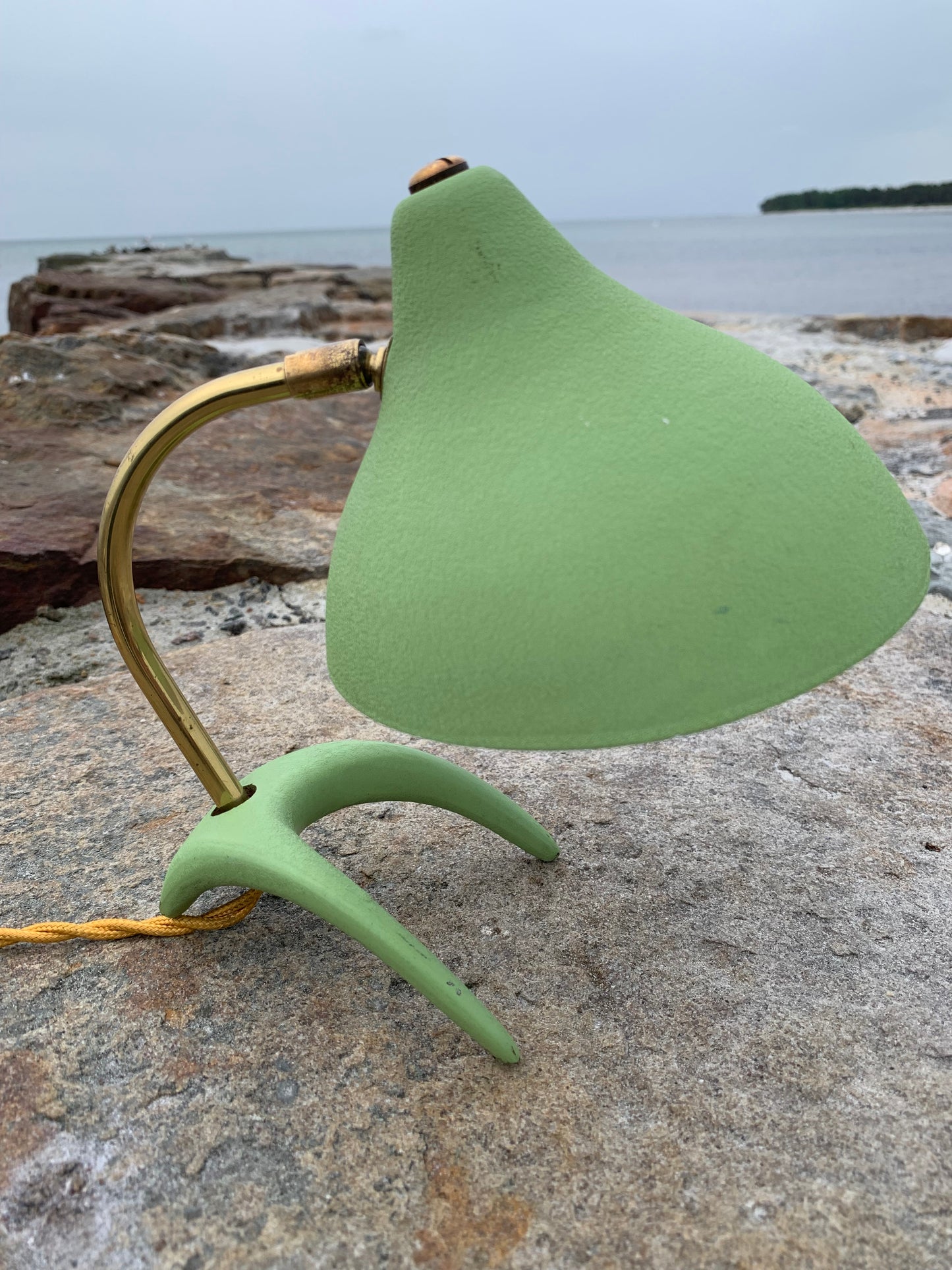 Cosack Crowfoot- Mini