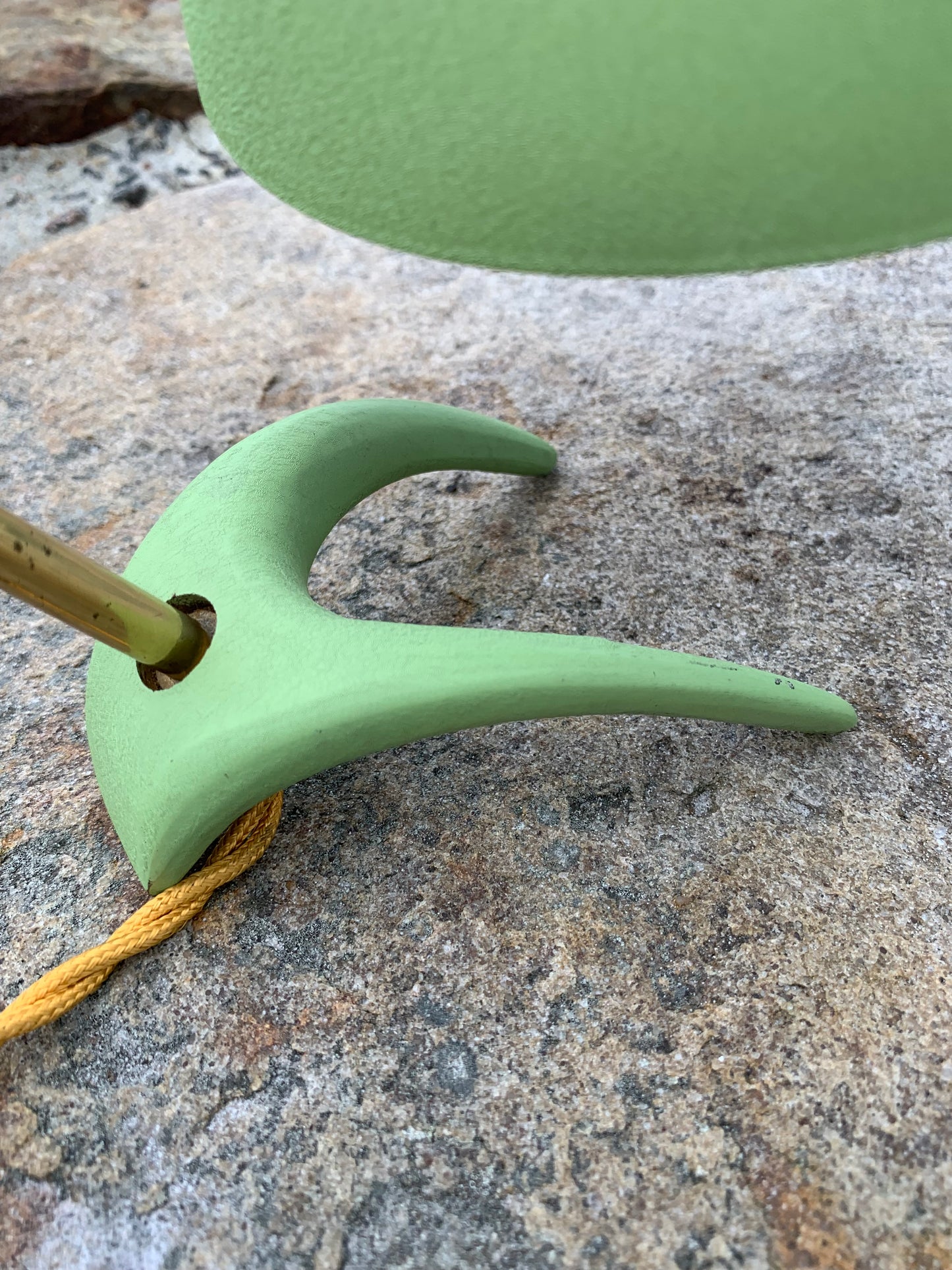 Cosack Crowfoot- Mini