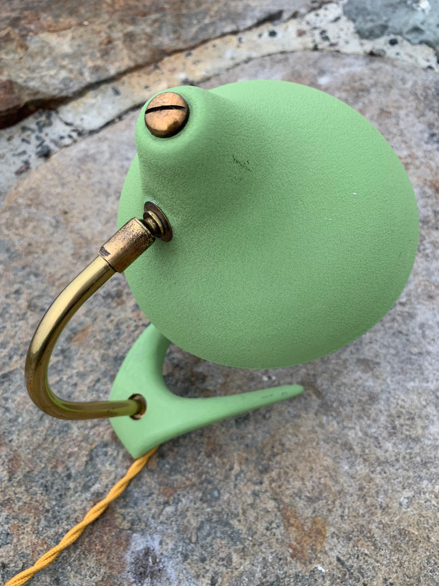 Cosack Crowfoot- Mini