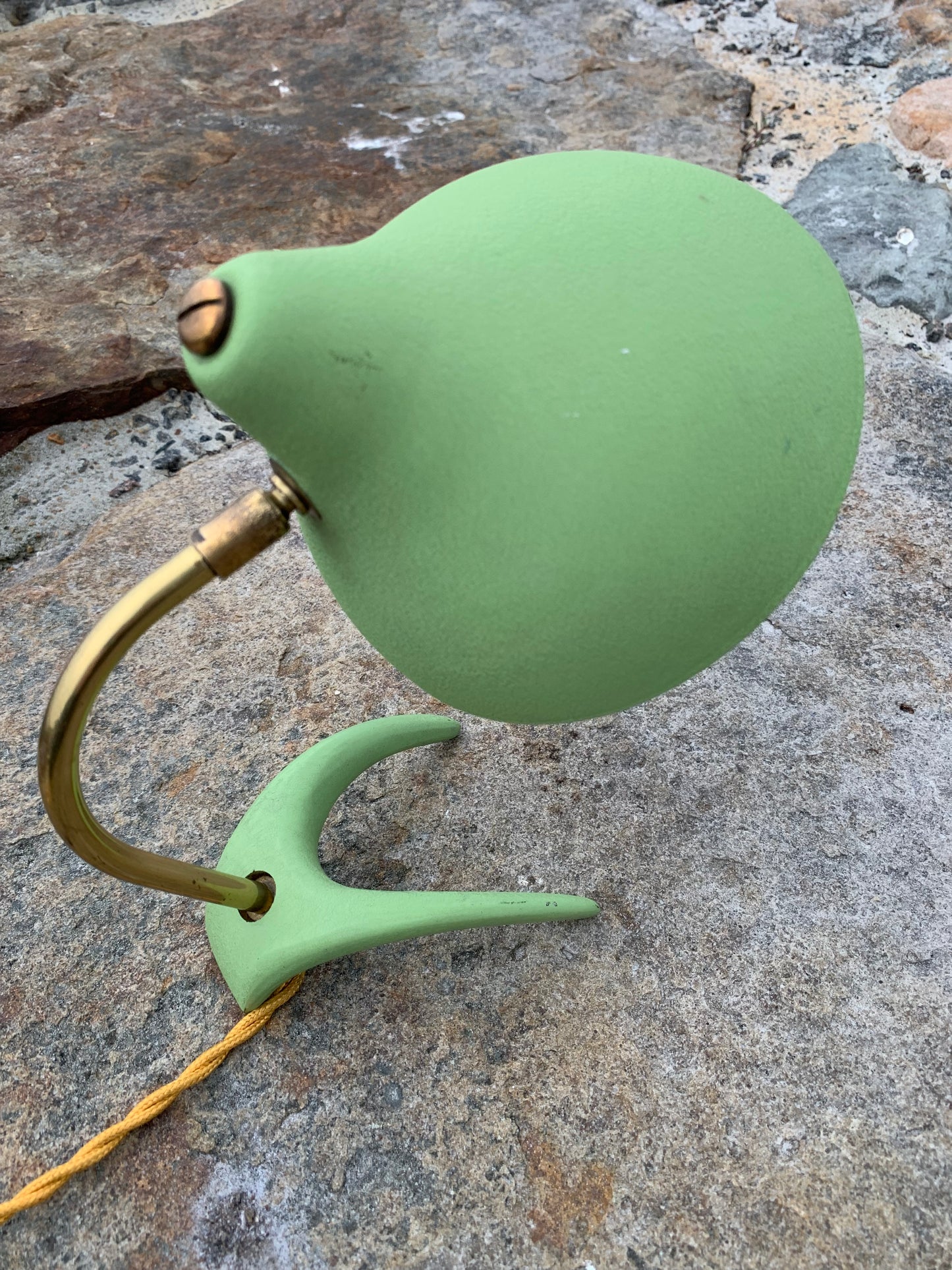 Cosack Crowfoot- Mini