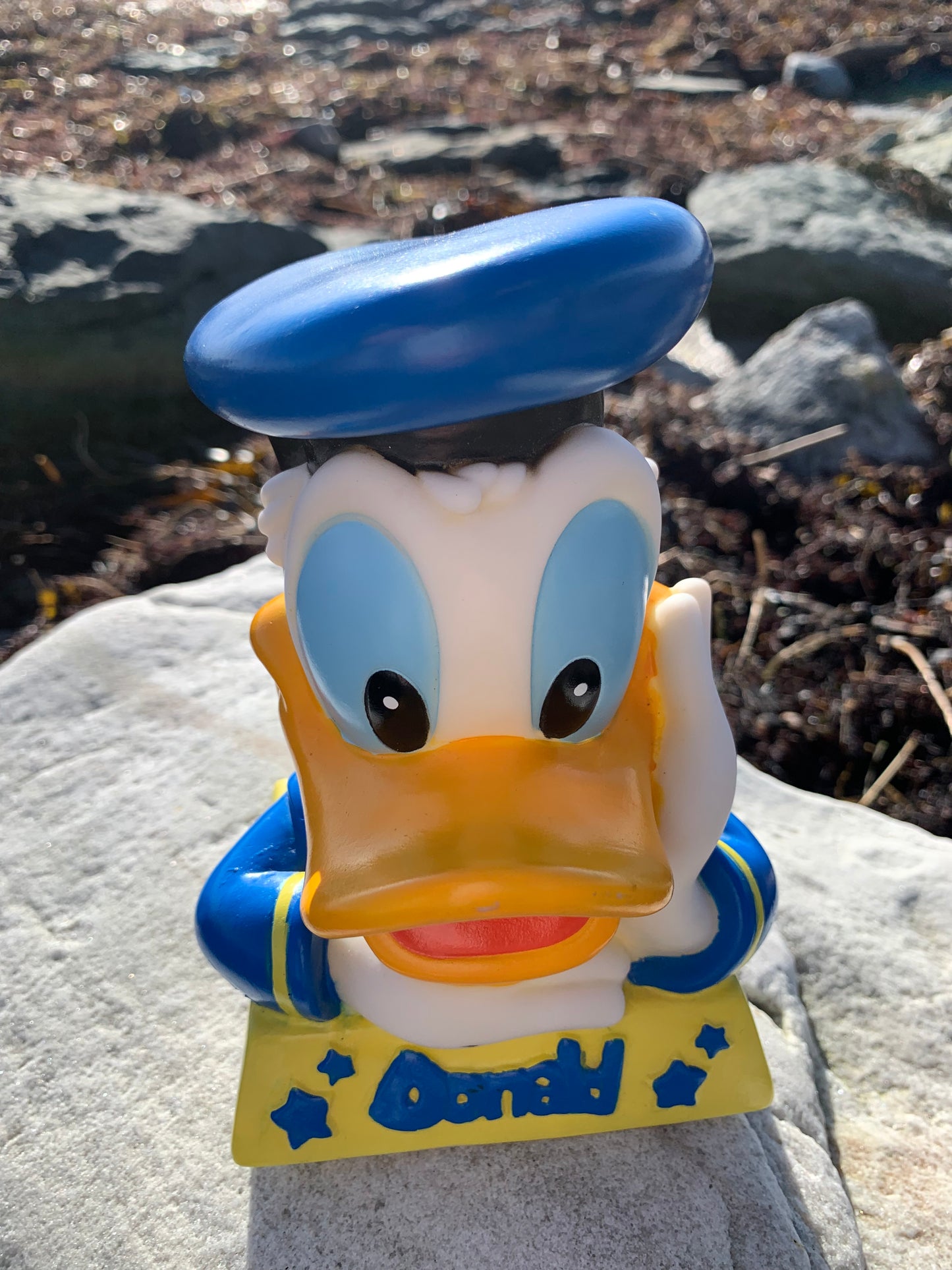 Anders And Sparebøsse