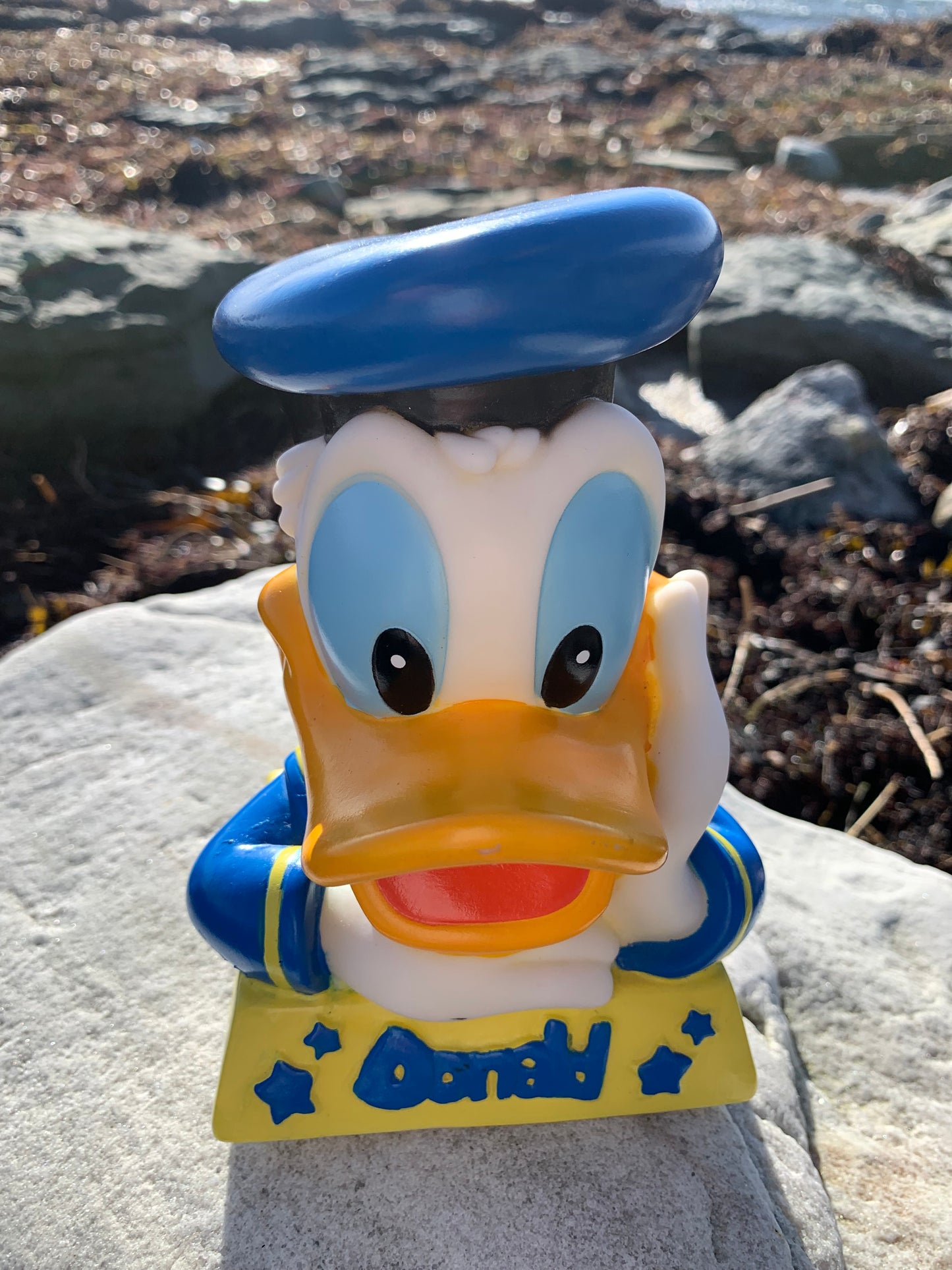 Anders And Sparebøsse