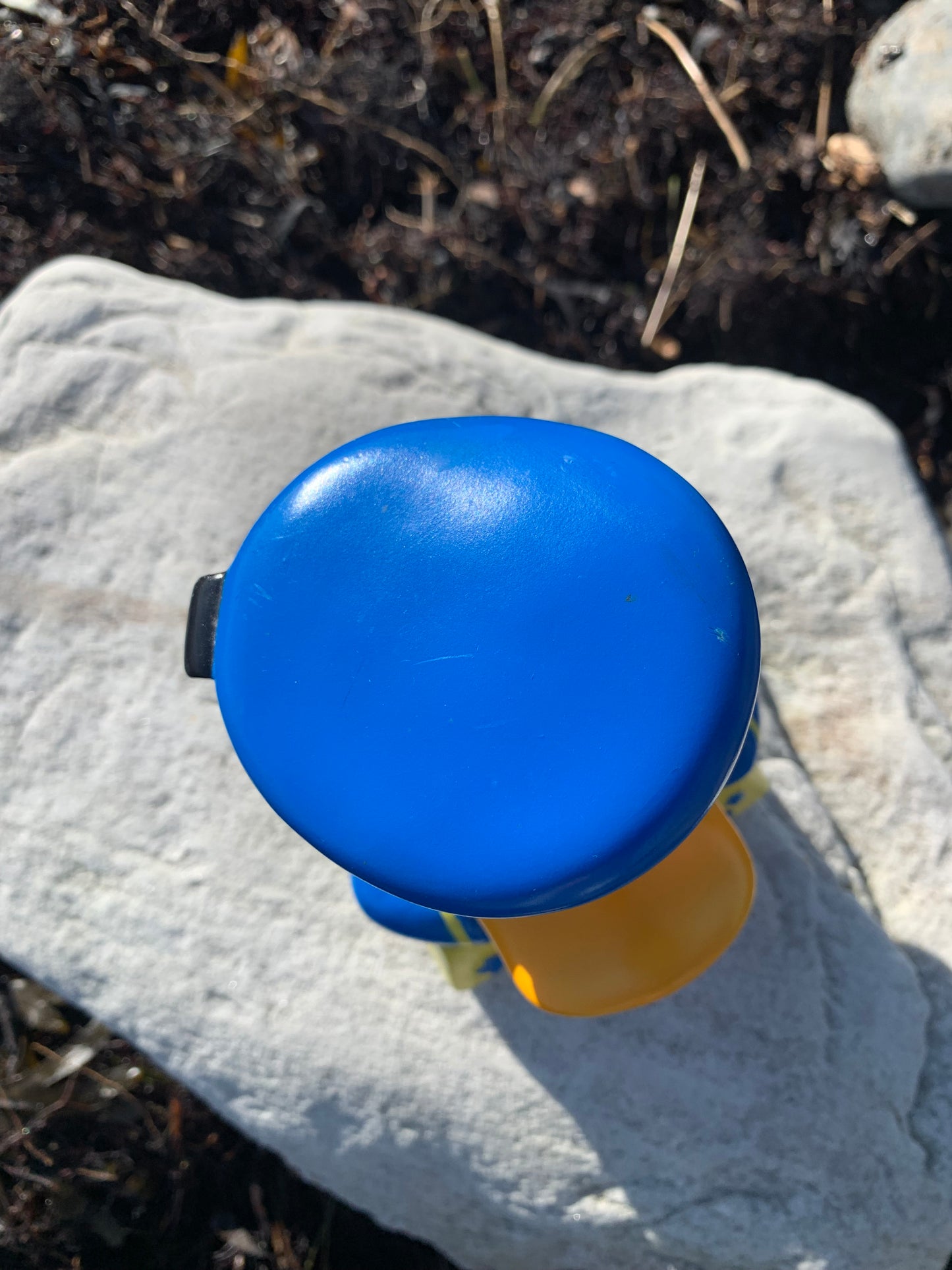 Anders And Sparebøsse