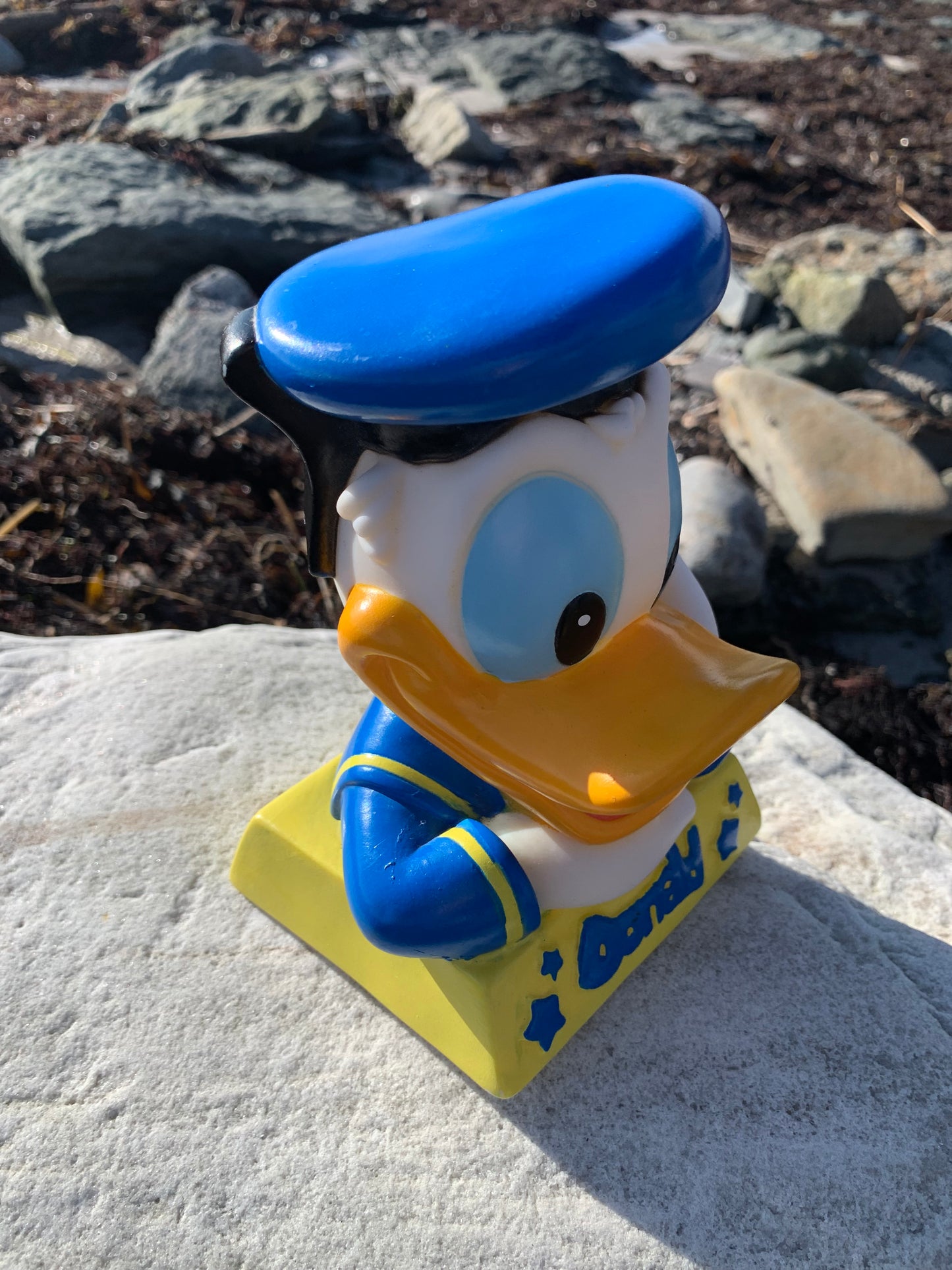 Anders And Sparebøsse