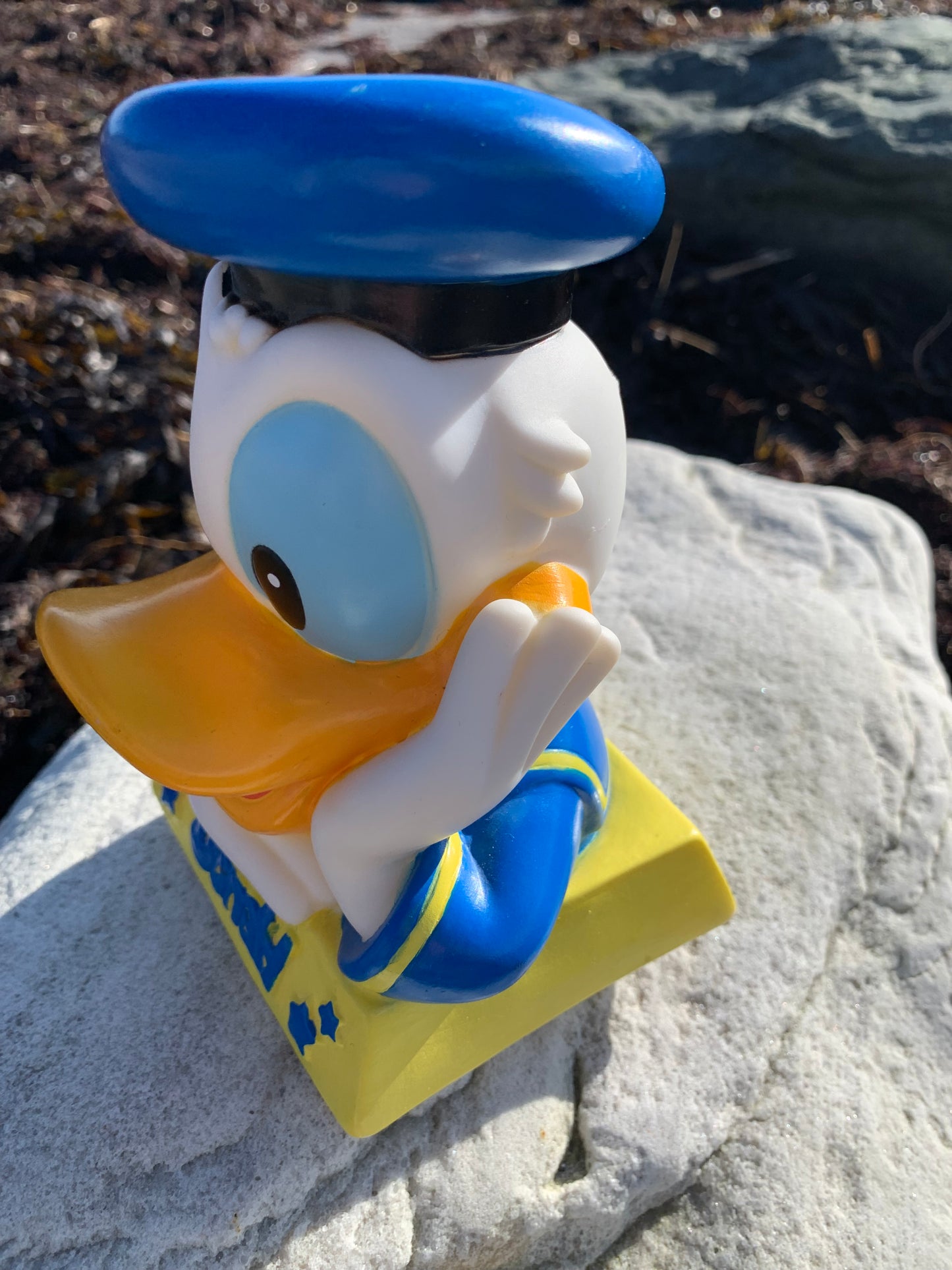 Anders And Sparebøsse