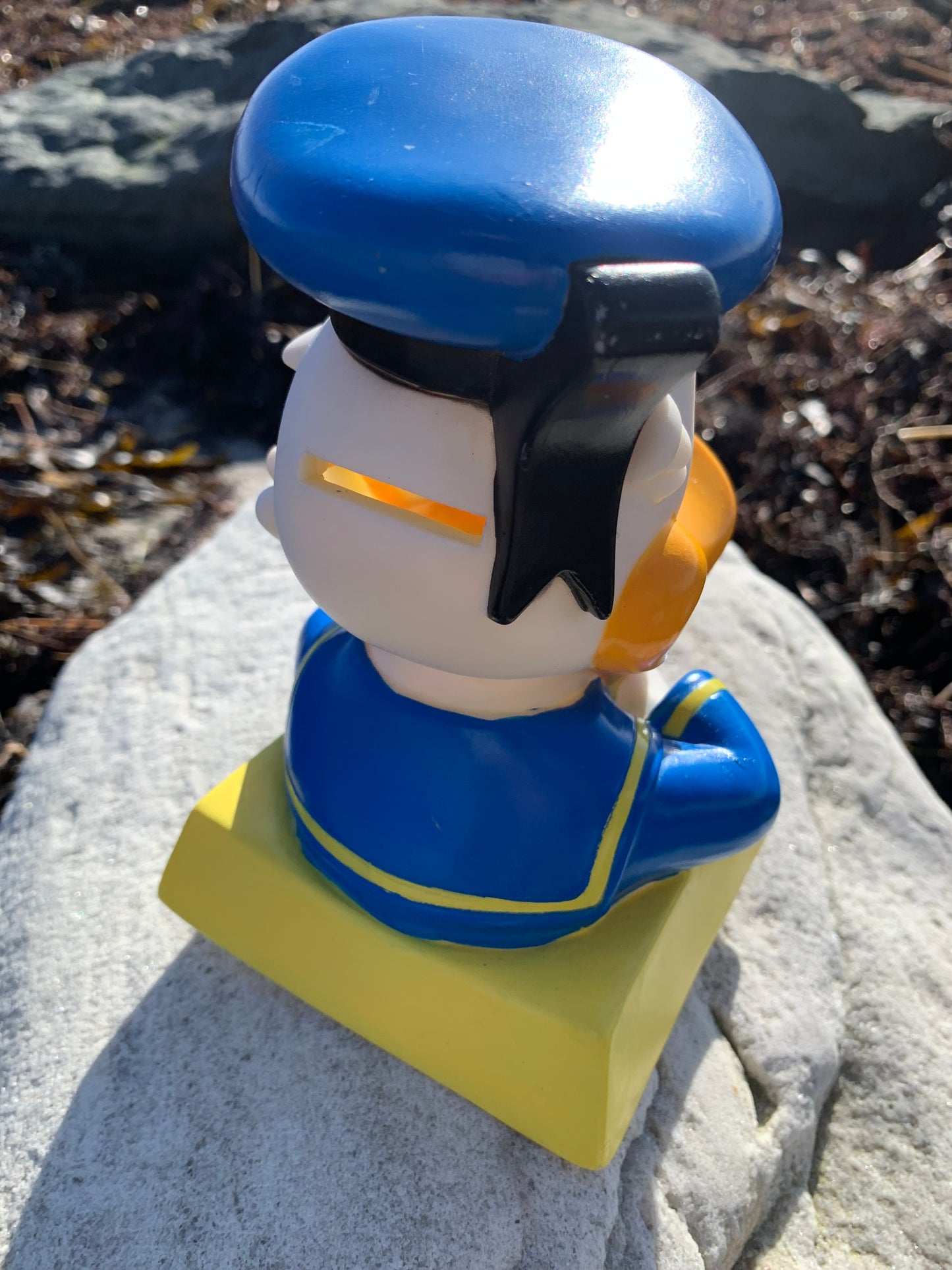 Anders And Sparebøsse