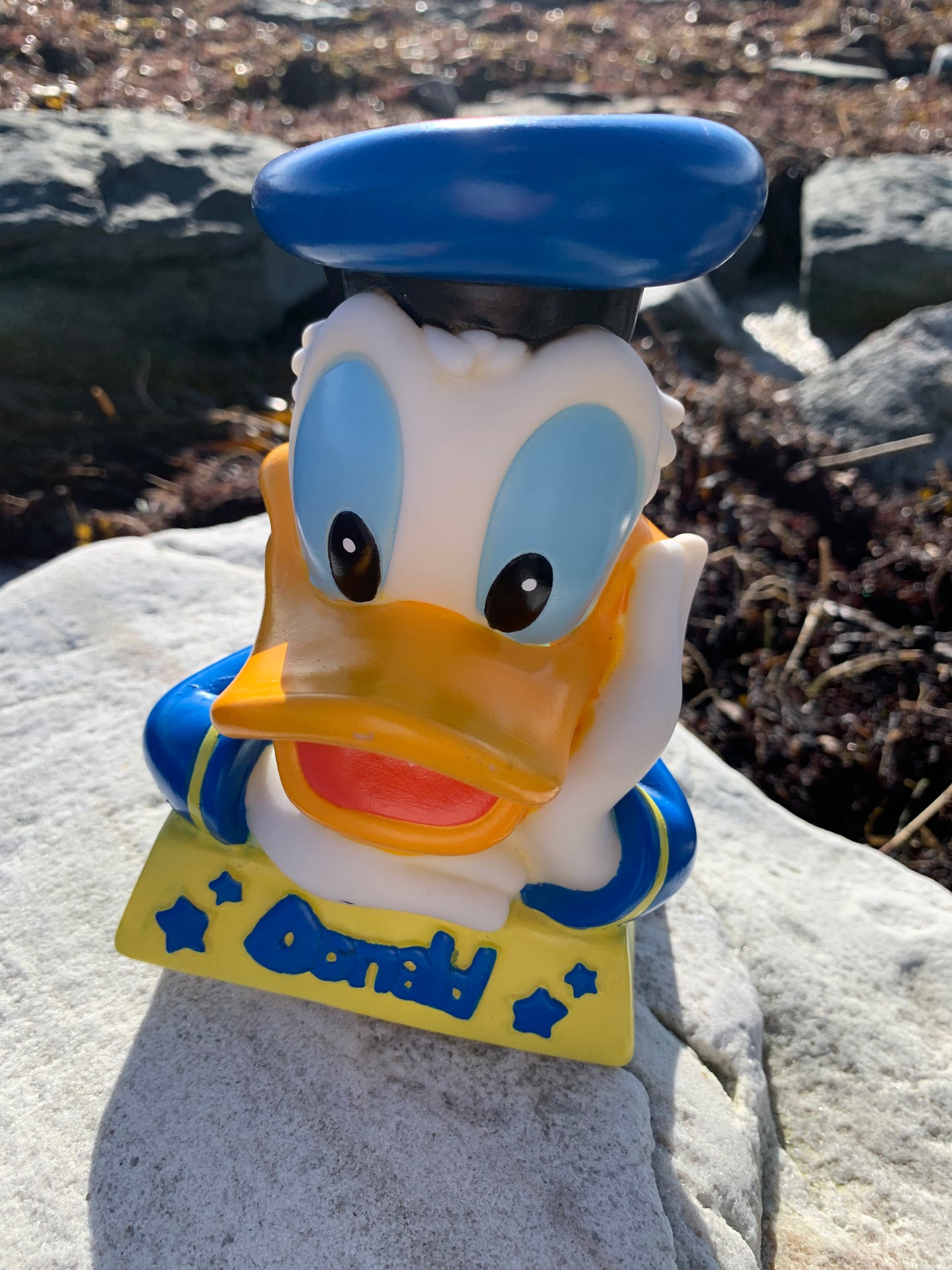 Anders And Sparebøsse