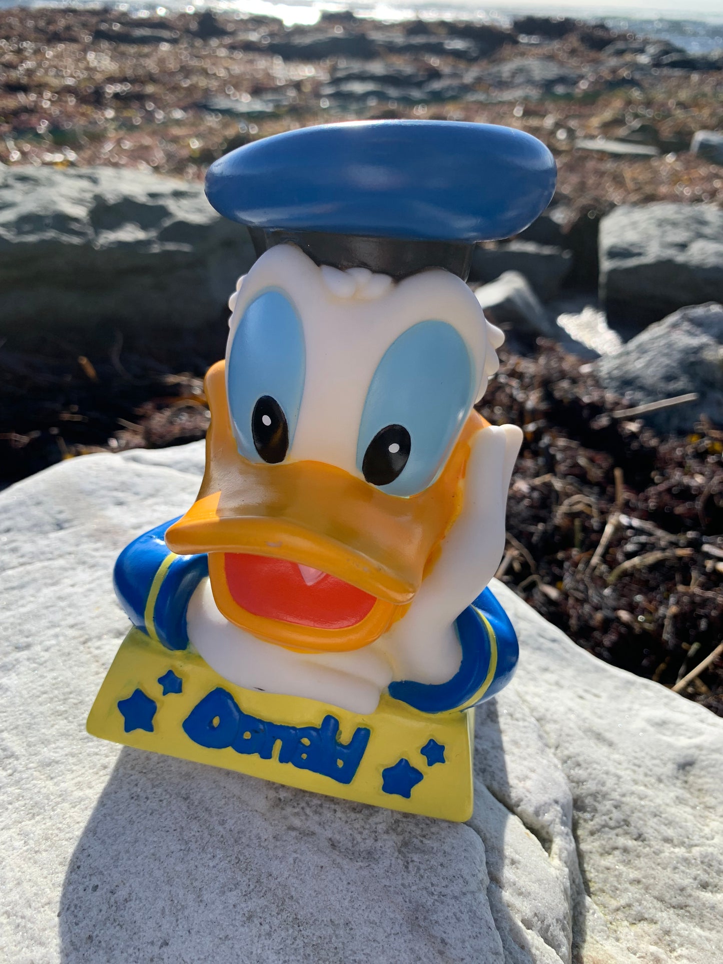 Anders And Sparebøsse