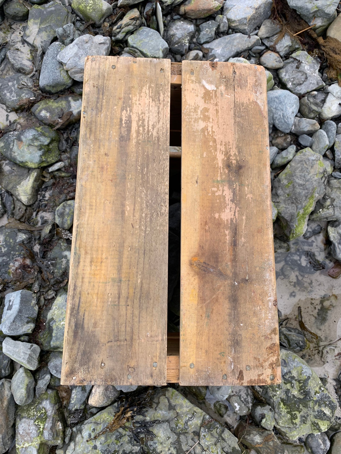 Æblemost kasse fra Kongens bryghus