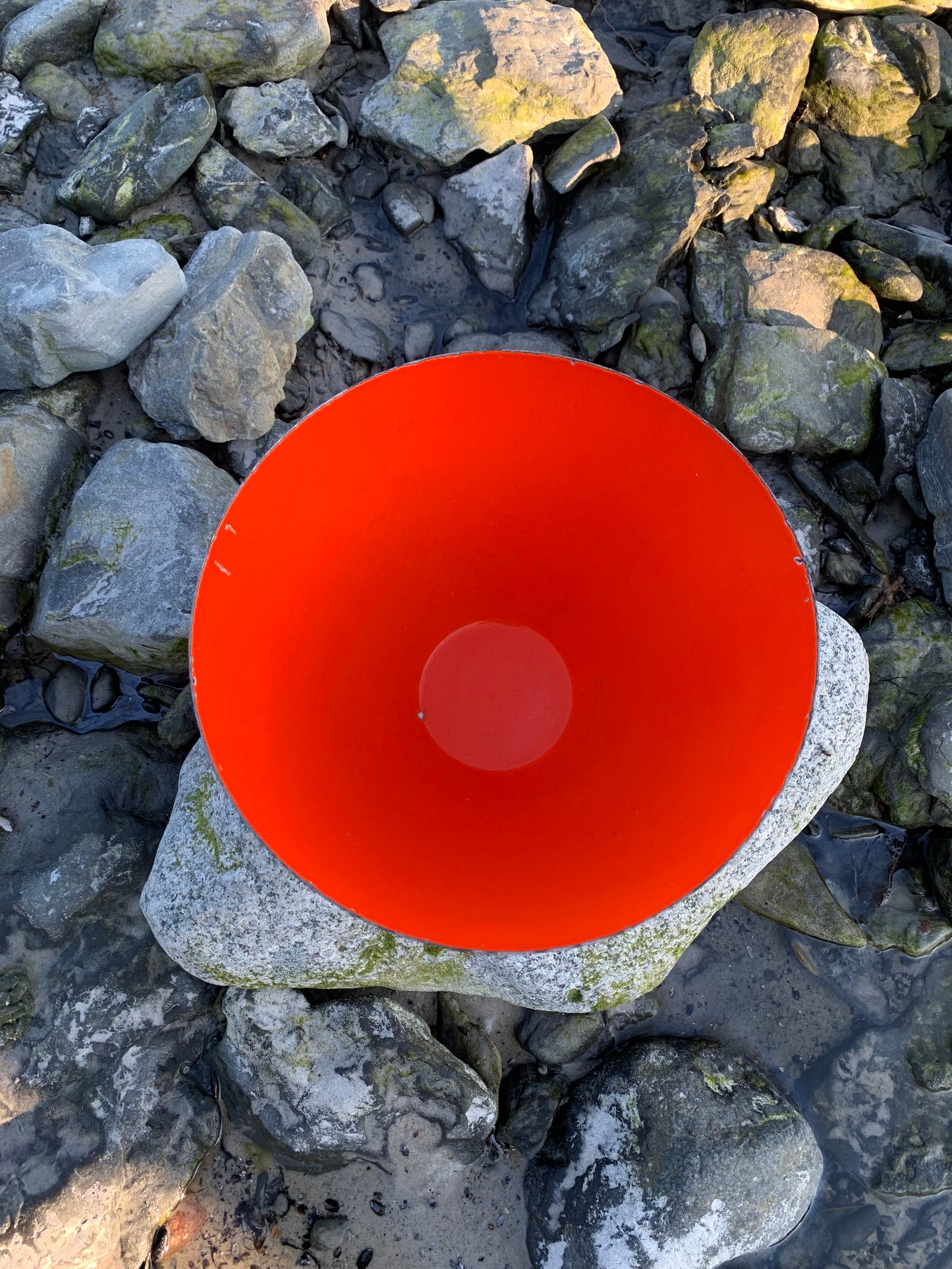 Krenitskål