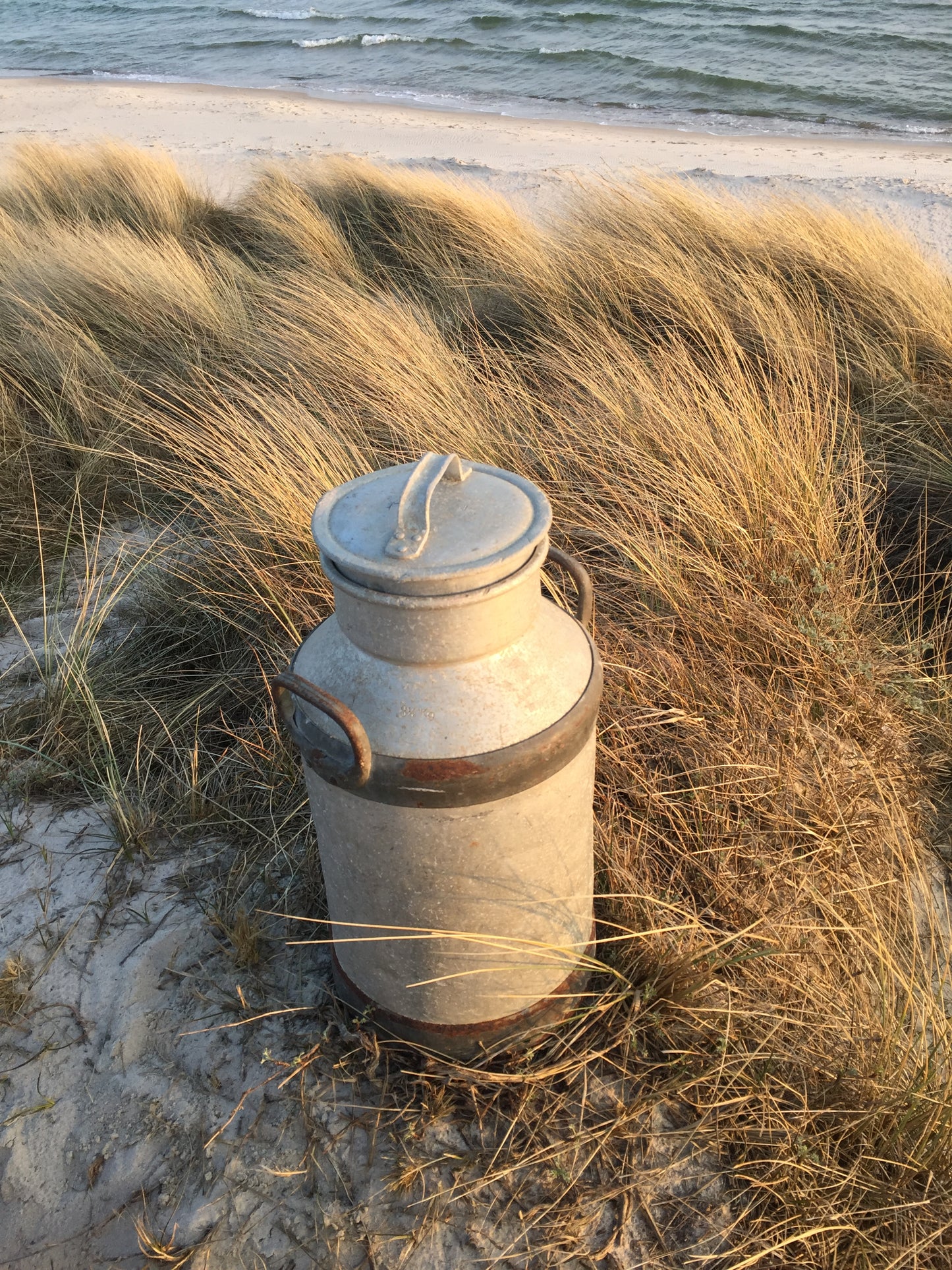 Fin og rå gammel mælkejunge
