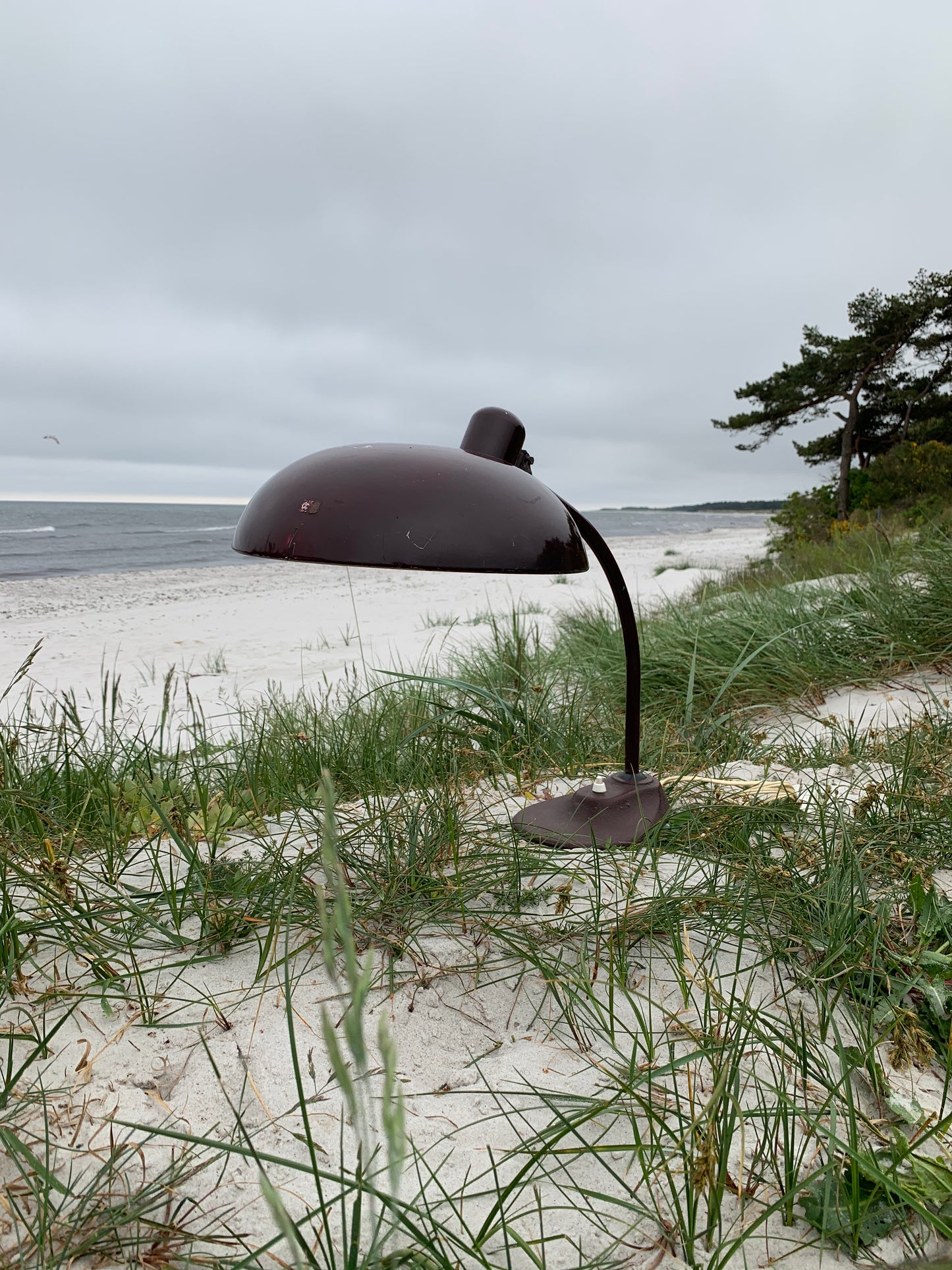 Marianne Brandt bordlampe - Brun