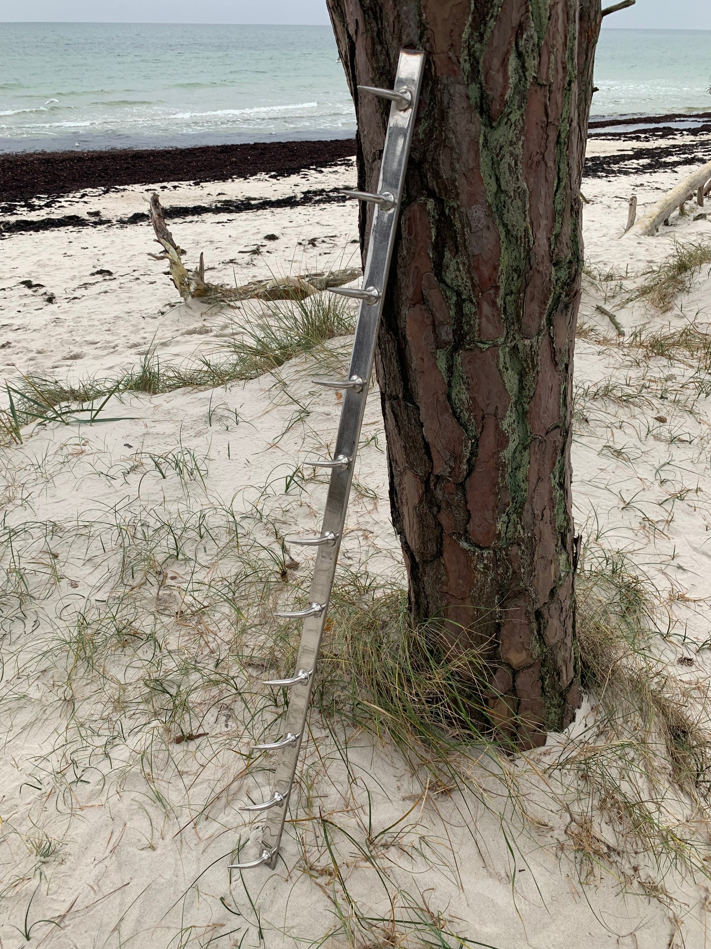 Fransk slagterknage