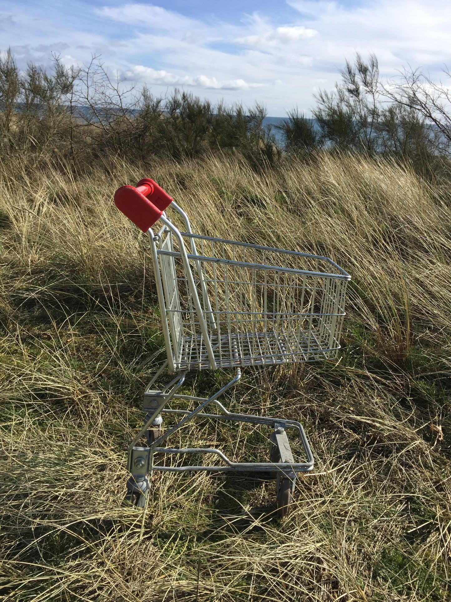 Lækker indkøbsvogn til børn