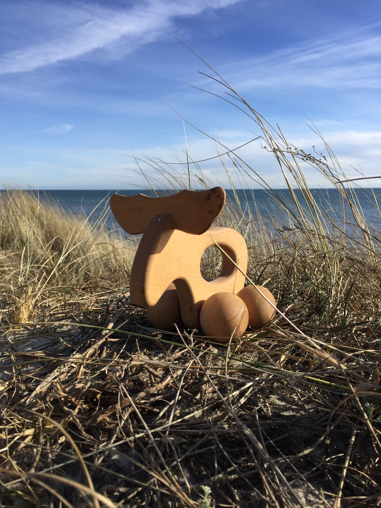 Skøn elg fra Sverige