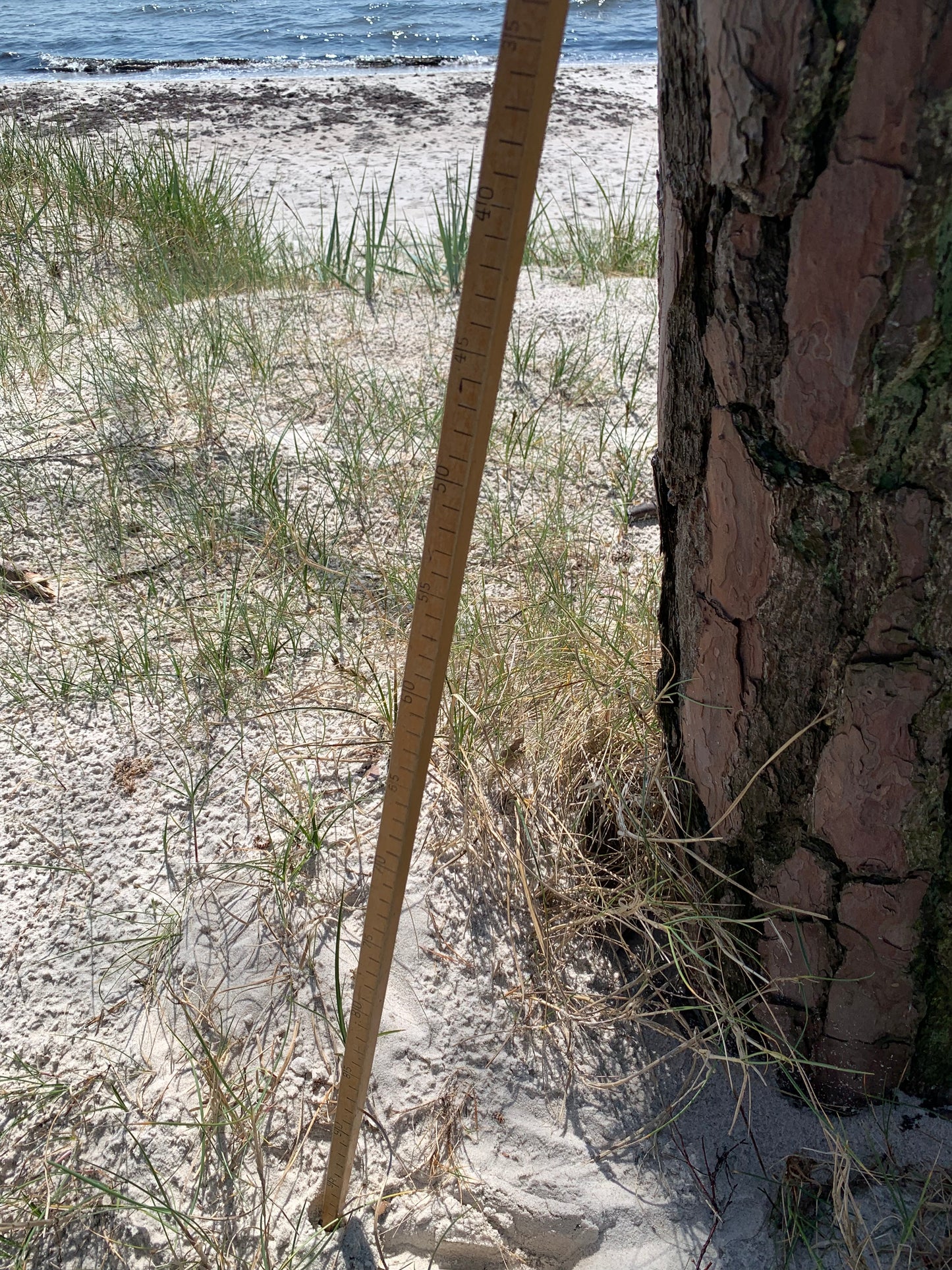 Dekorativ målepind fra 1950