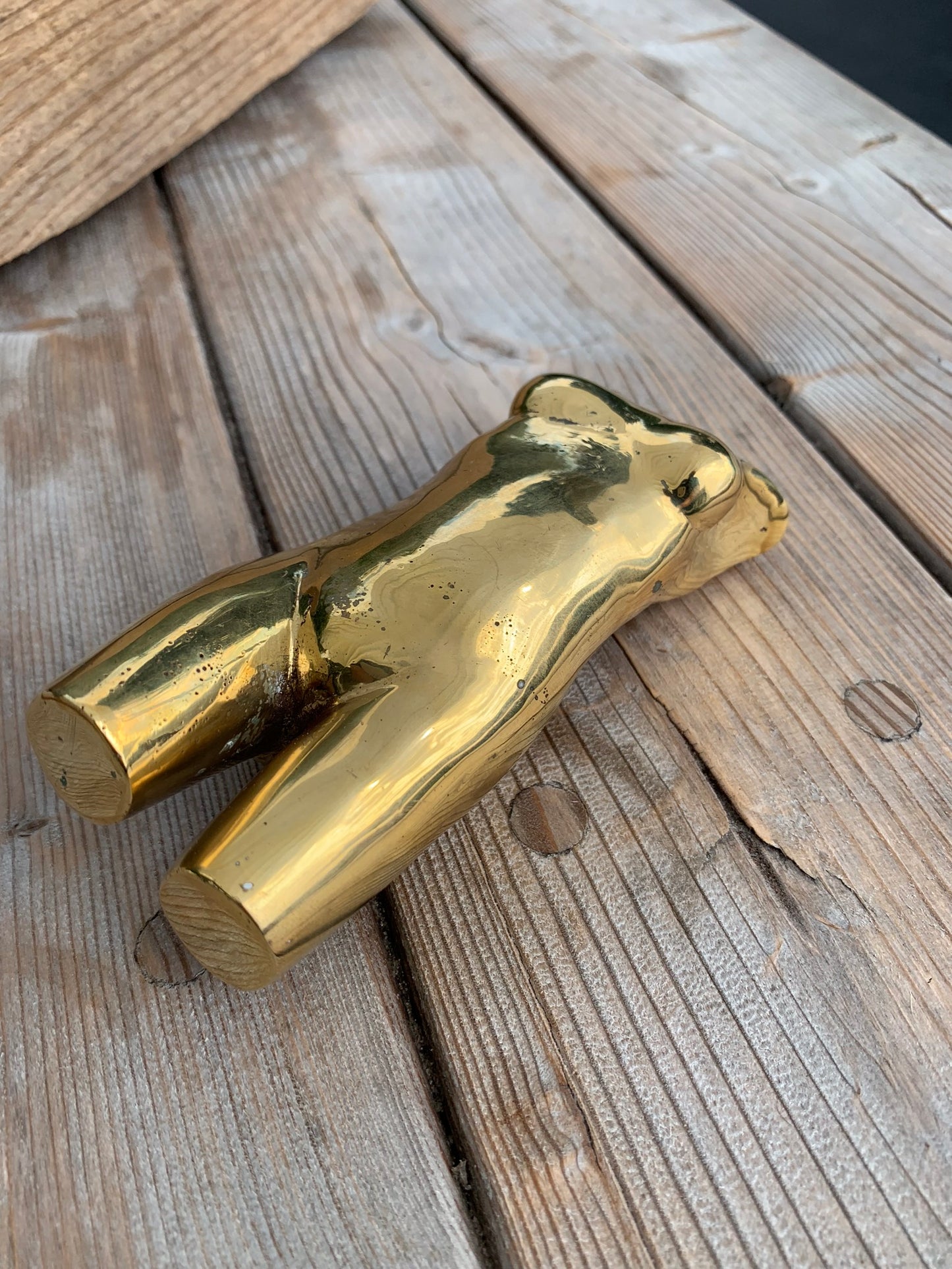 Torso af Anders Nyborg