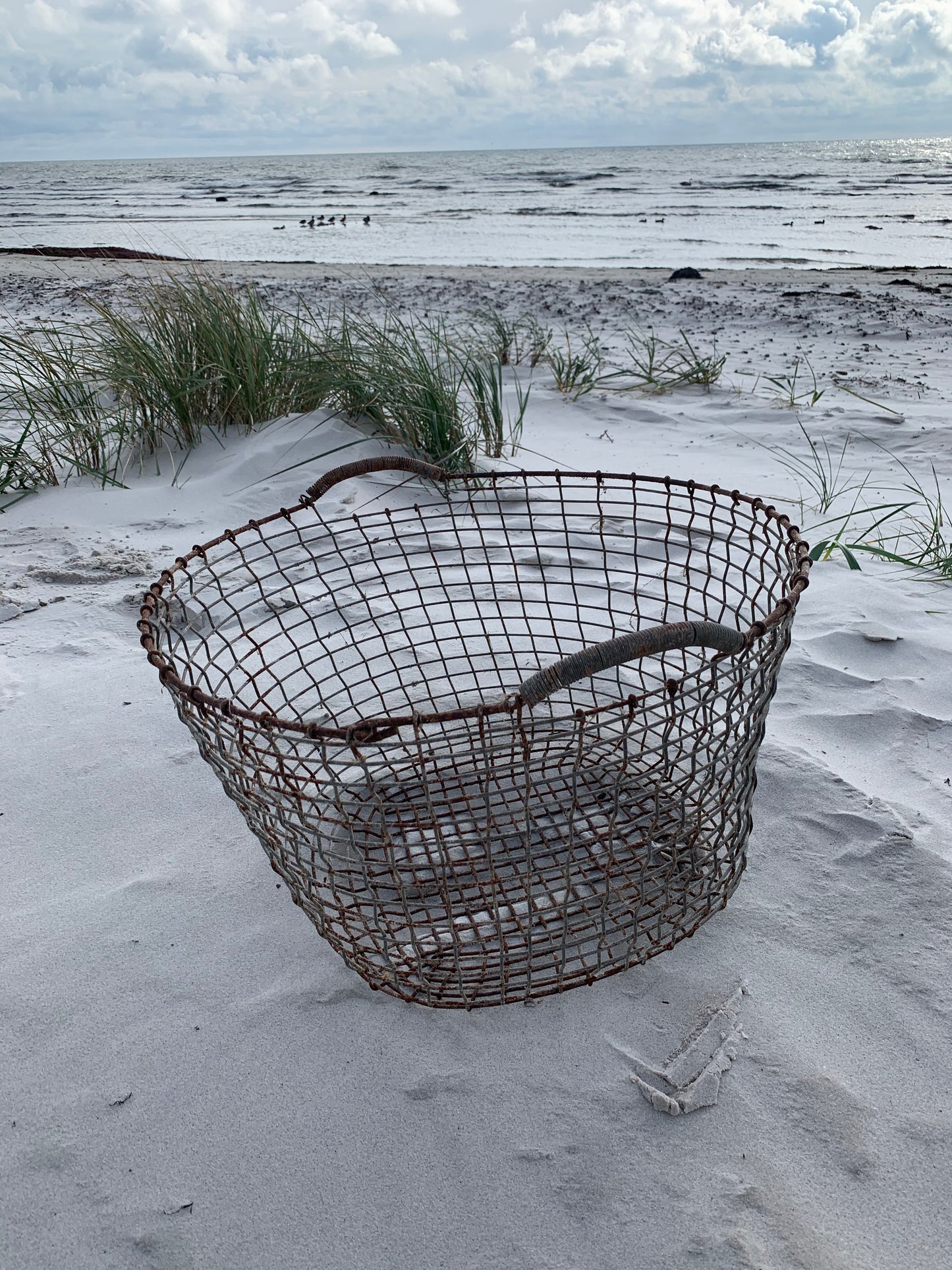 Stor rå trådkurv