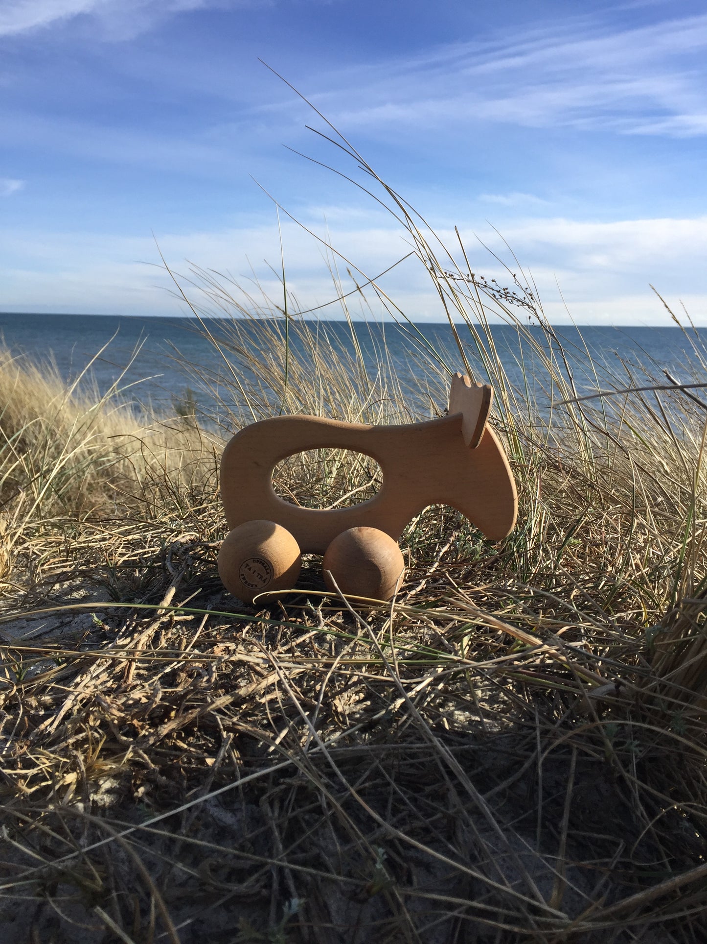 Skøn elg fra Sverige
