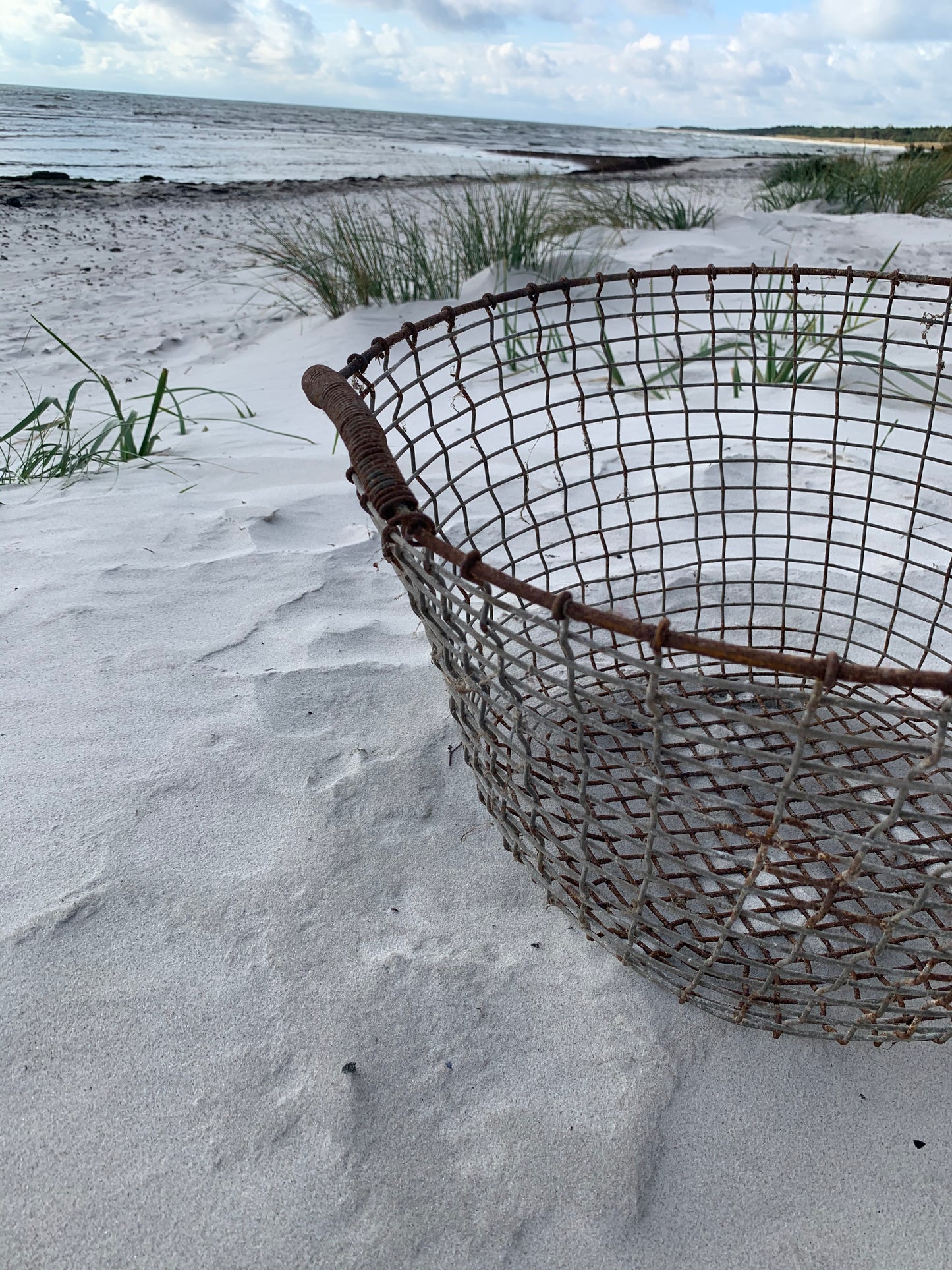Stor rå trådkurv
