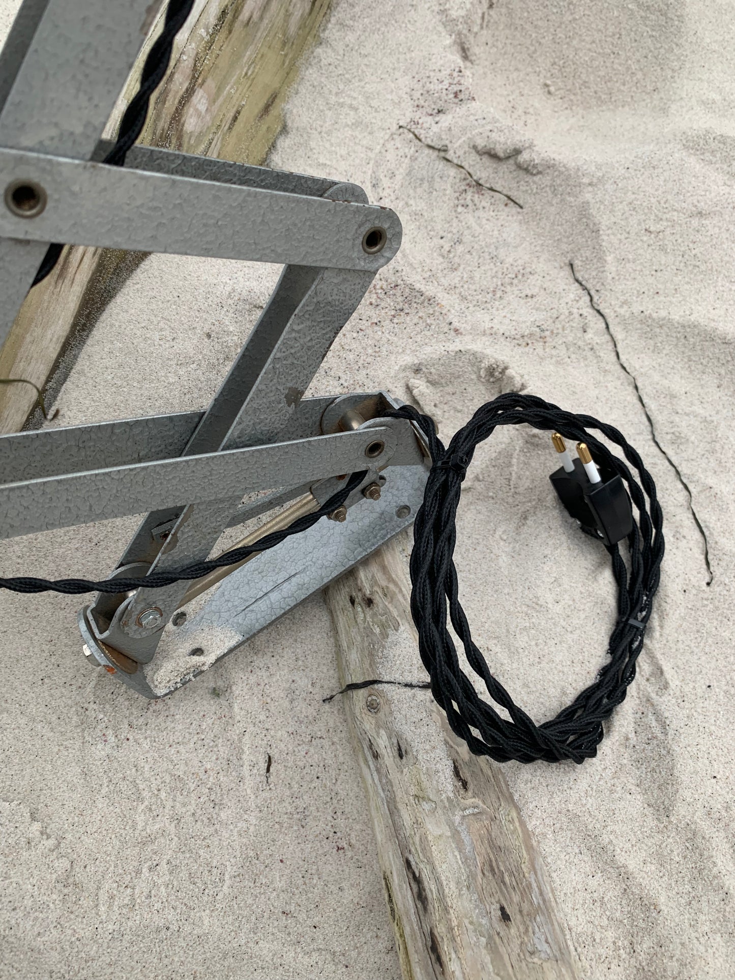 Sakselampe - Grå hammerlak