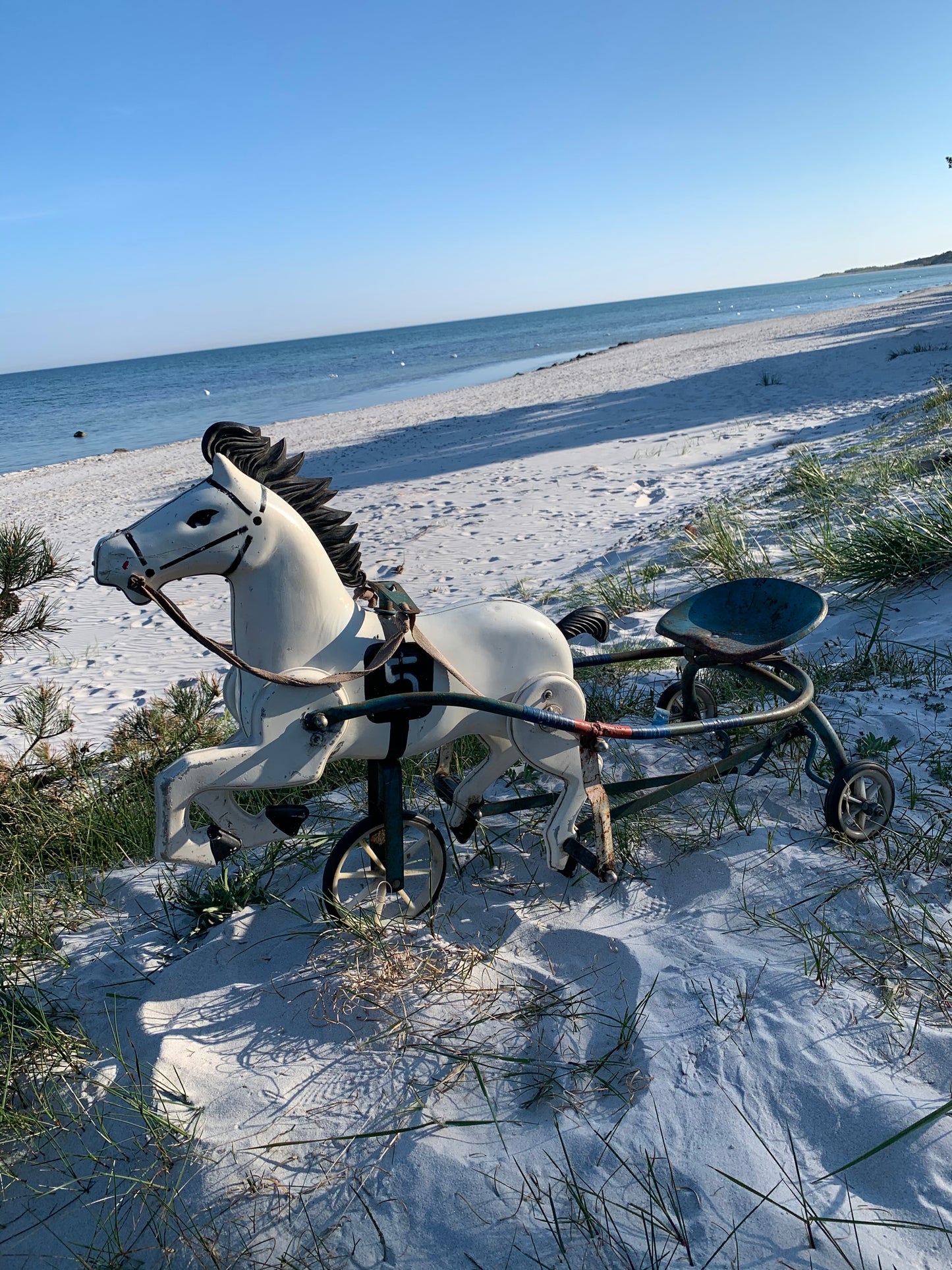 Hest med vogn