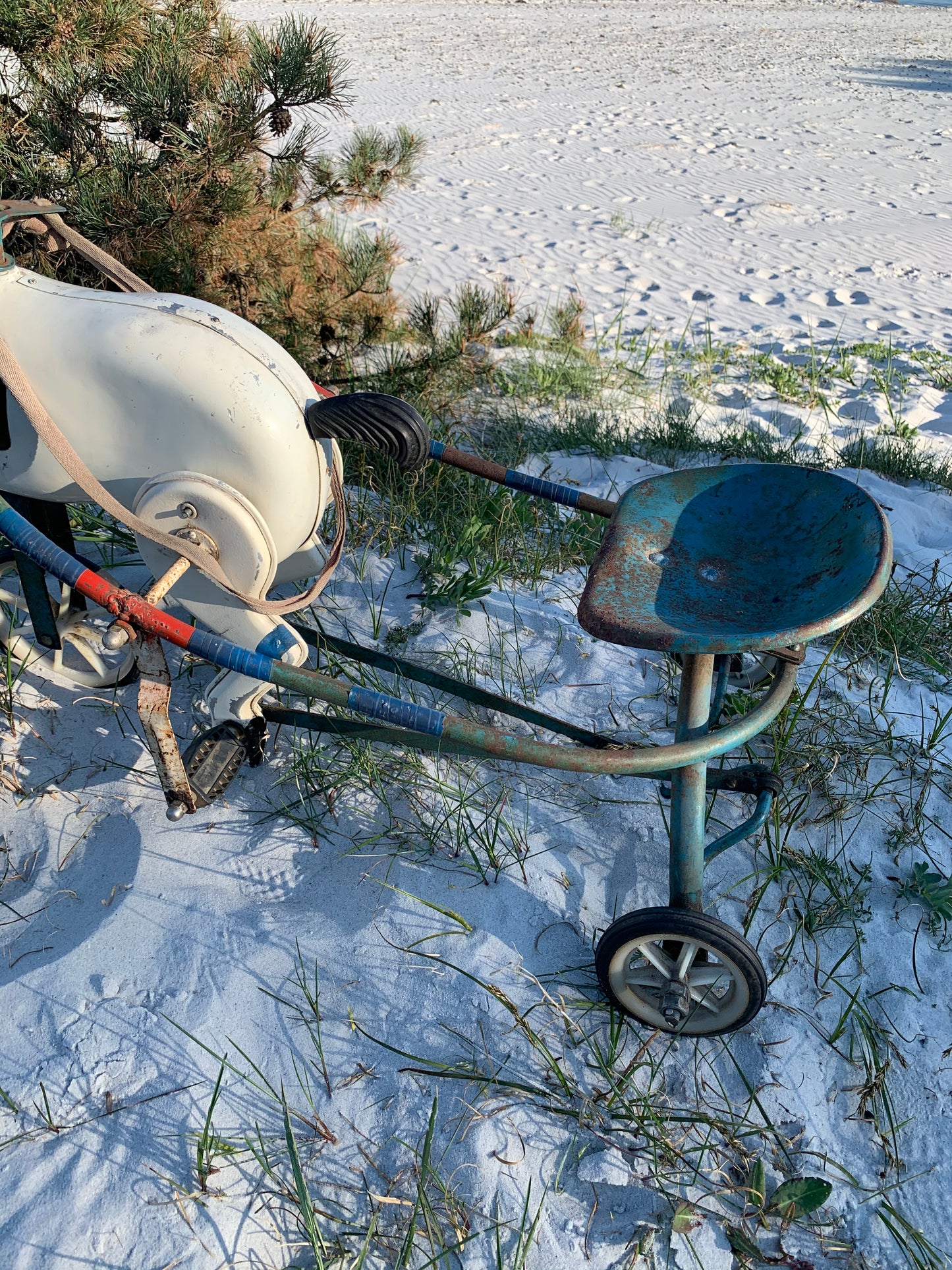 Hest med vogn