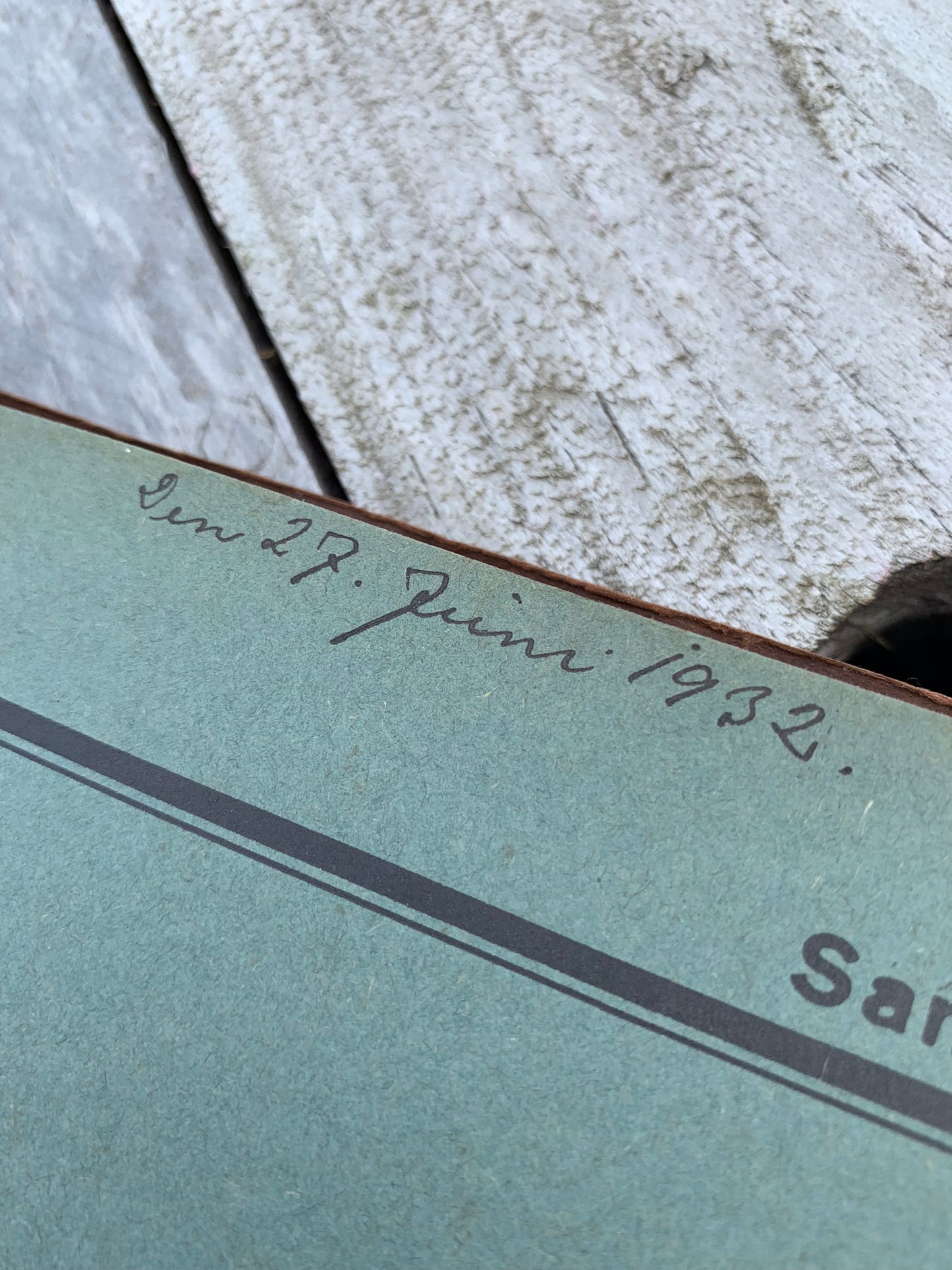 Rich’s samlealbum fra dyrenes verden (pattedyr)