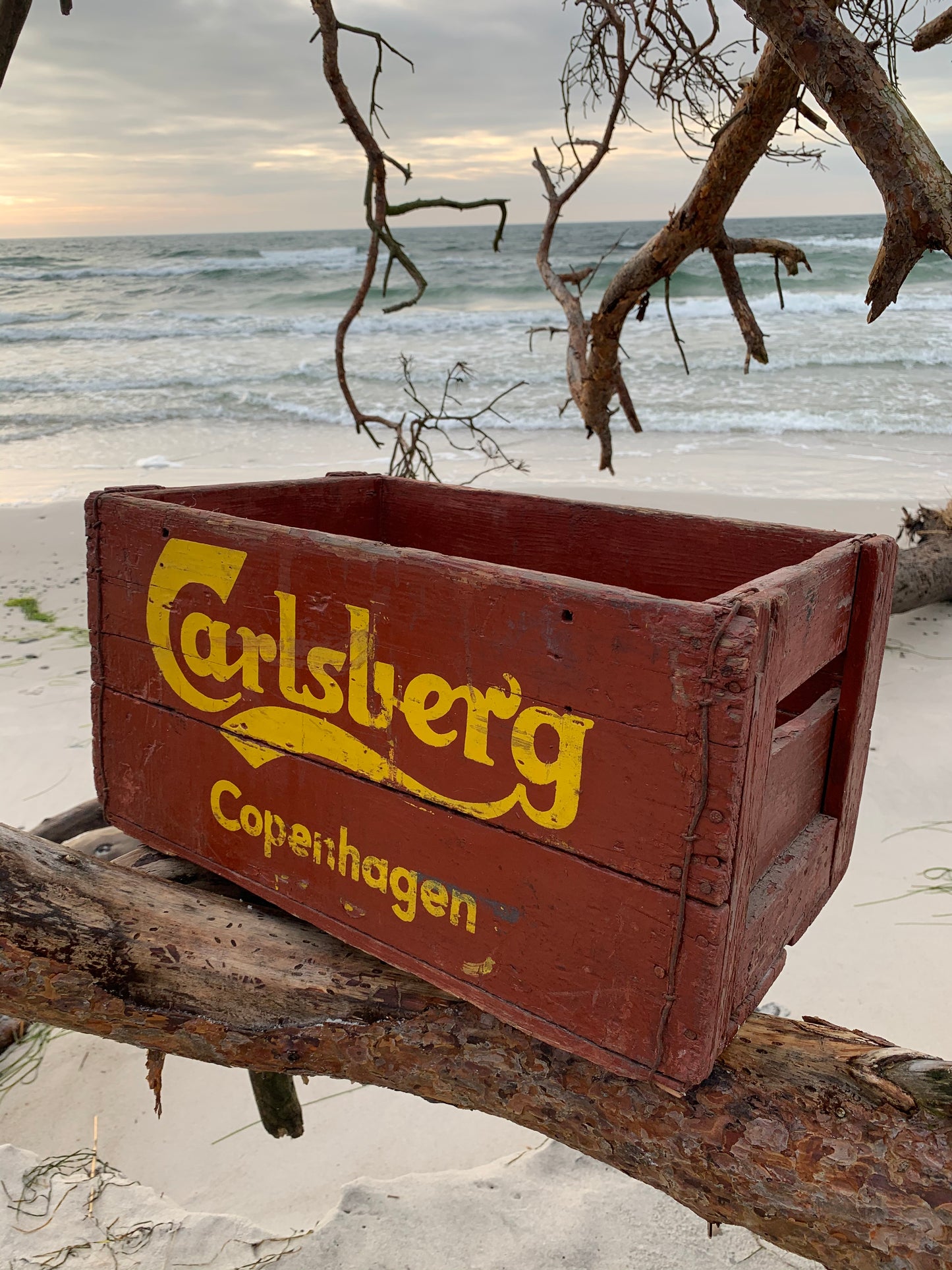 Gammel ølkasse fra Carlsberg