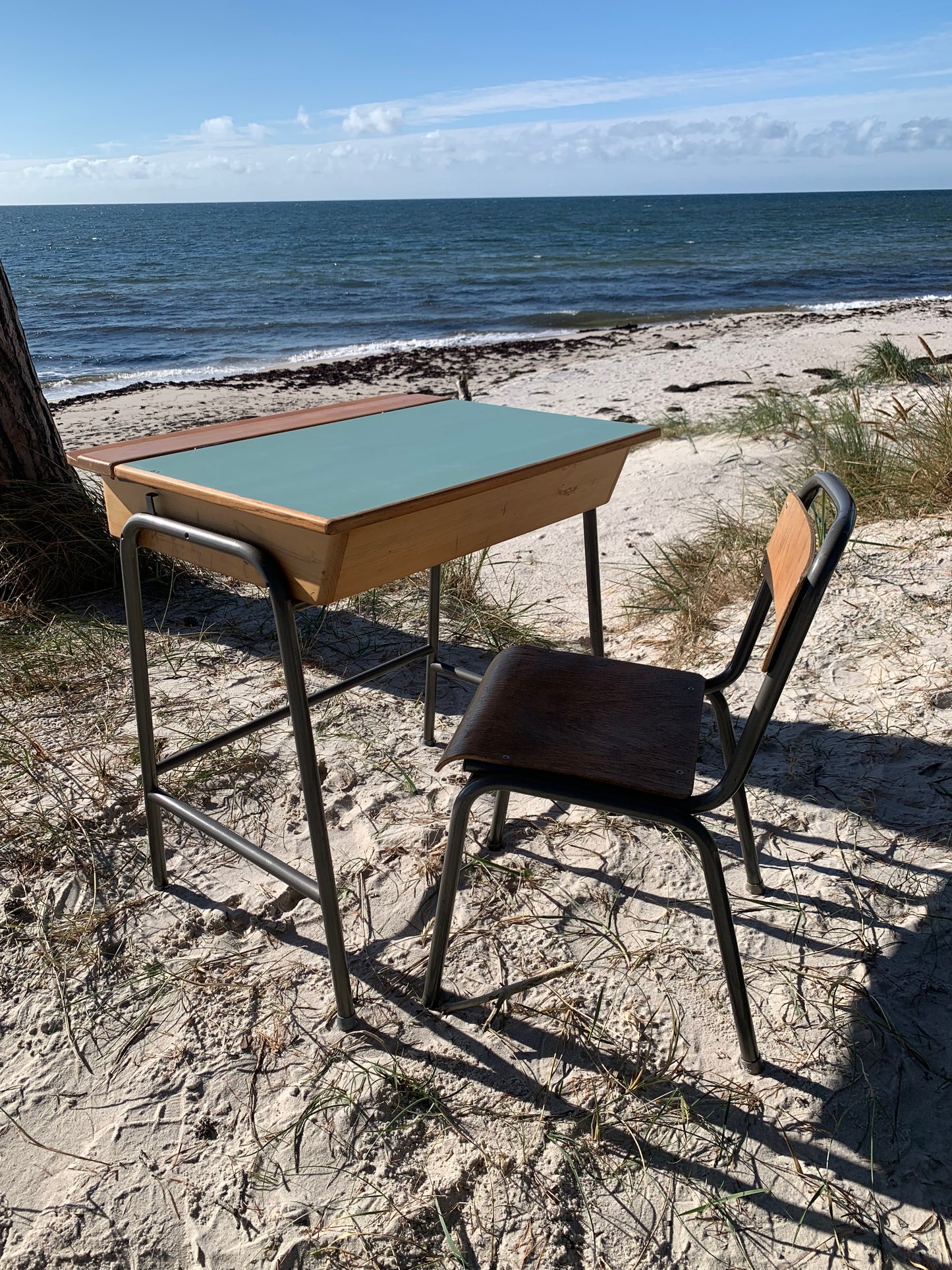 Skolebord