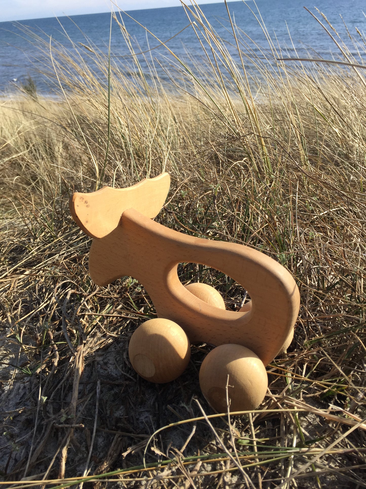 Skøn elg fra Sverige