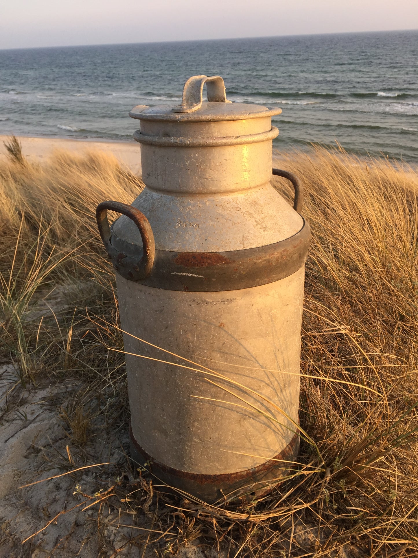 Fin og rå gammel mælkejunge