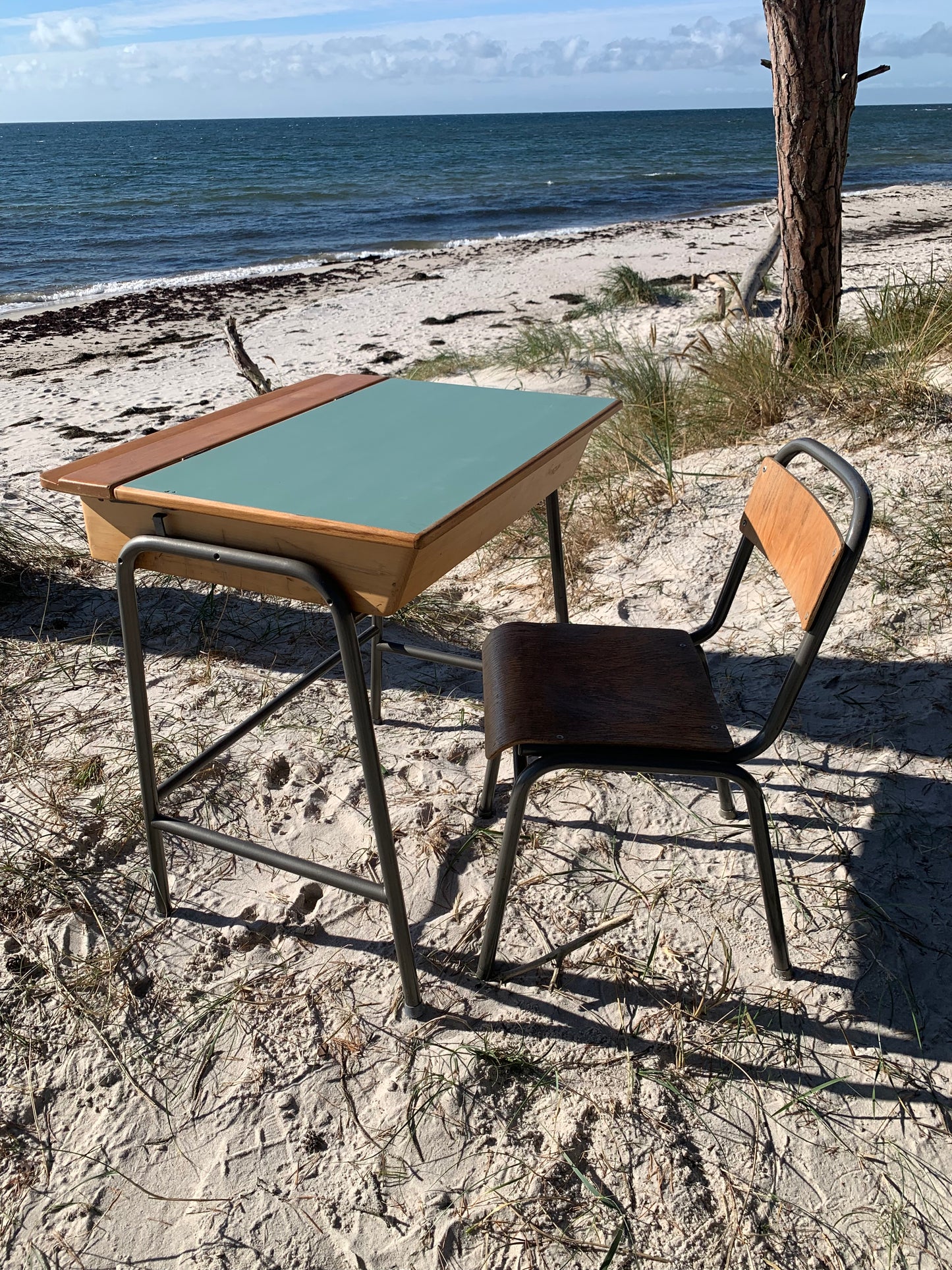Skolebord