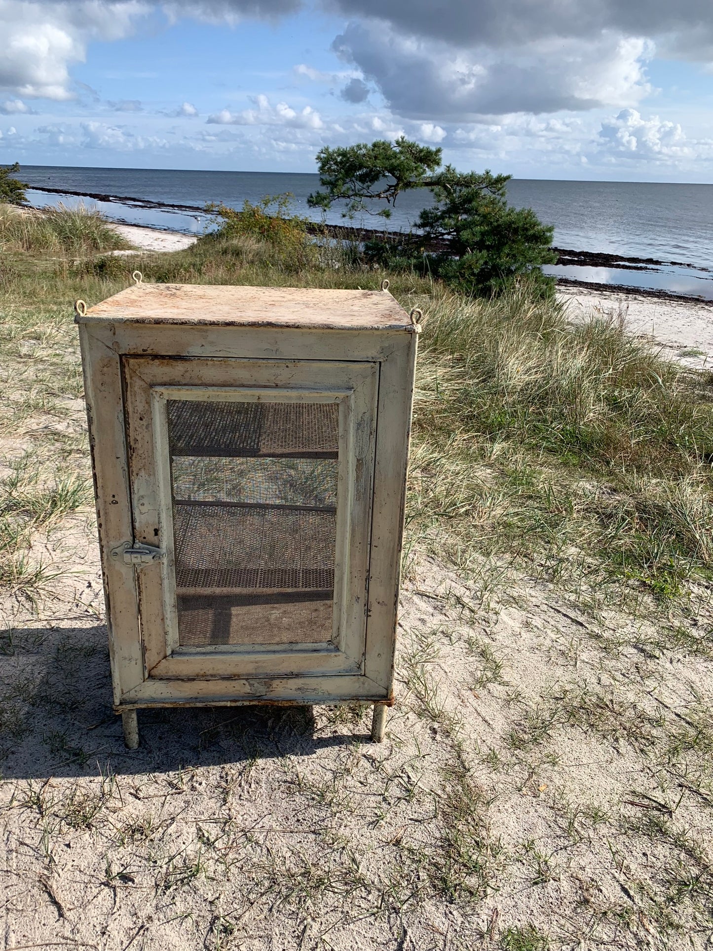 Skønt Flueskab med ben og hylder