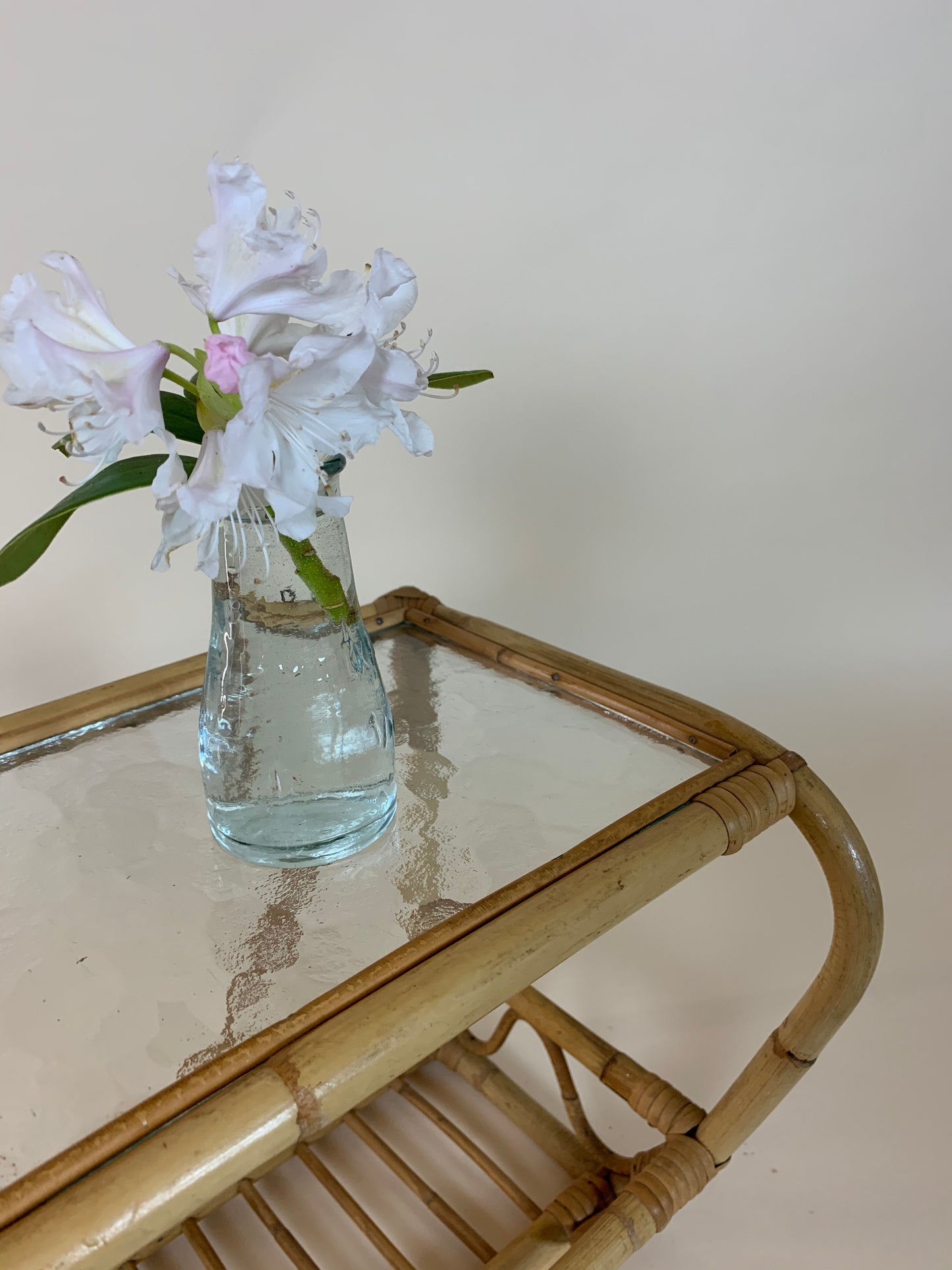Bambushylde med glas