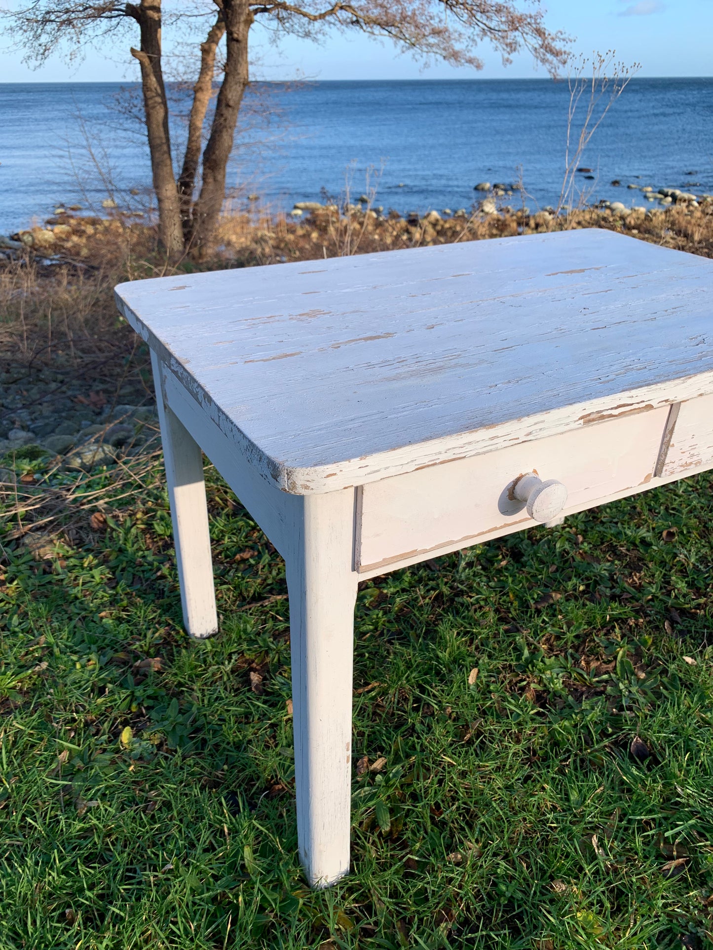 Børnebord med to skuffer