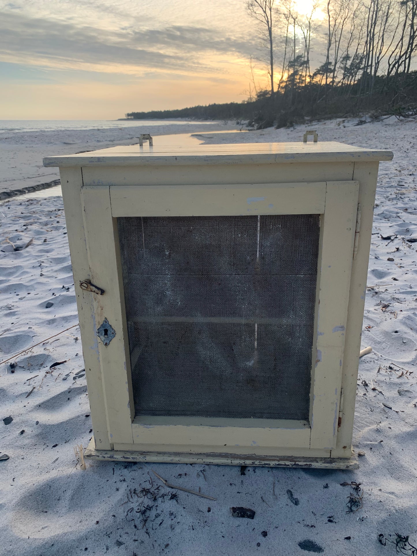 Skønt flueskab med patina