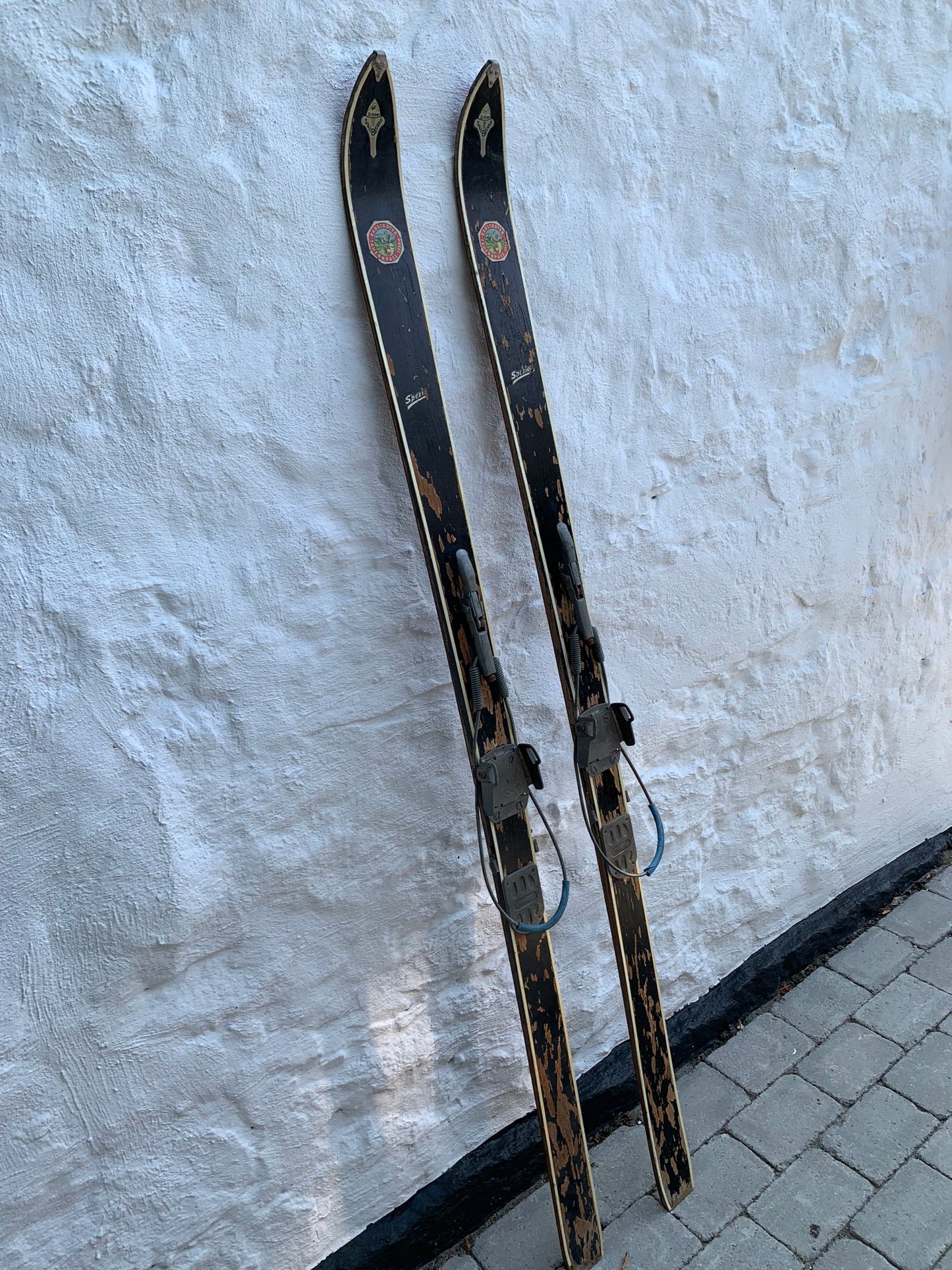 Dekorative sorte ski