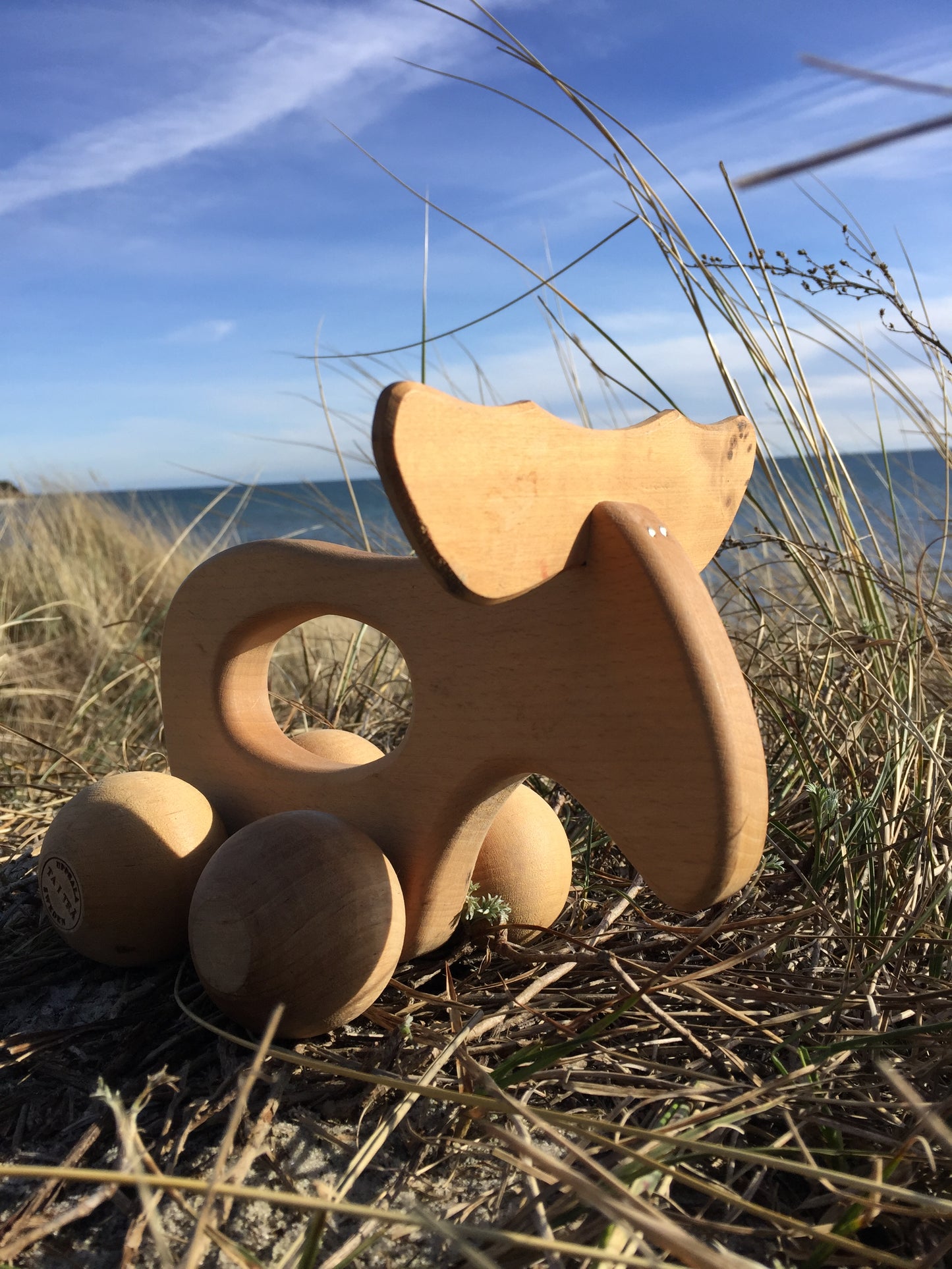 Skøn elg fra Sverige