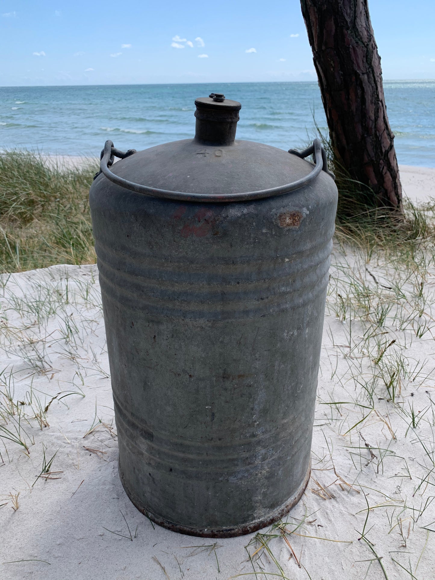 Stor patineret benzindunk 40 L.