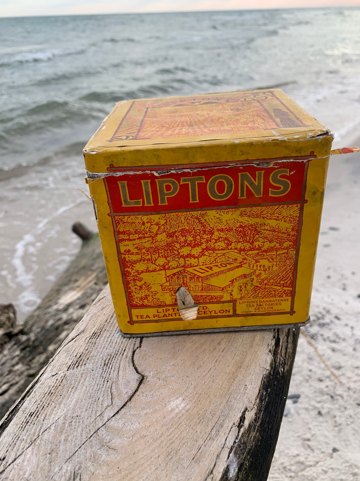 Lipton tea dåse