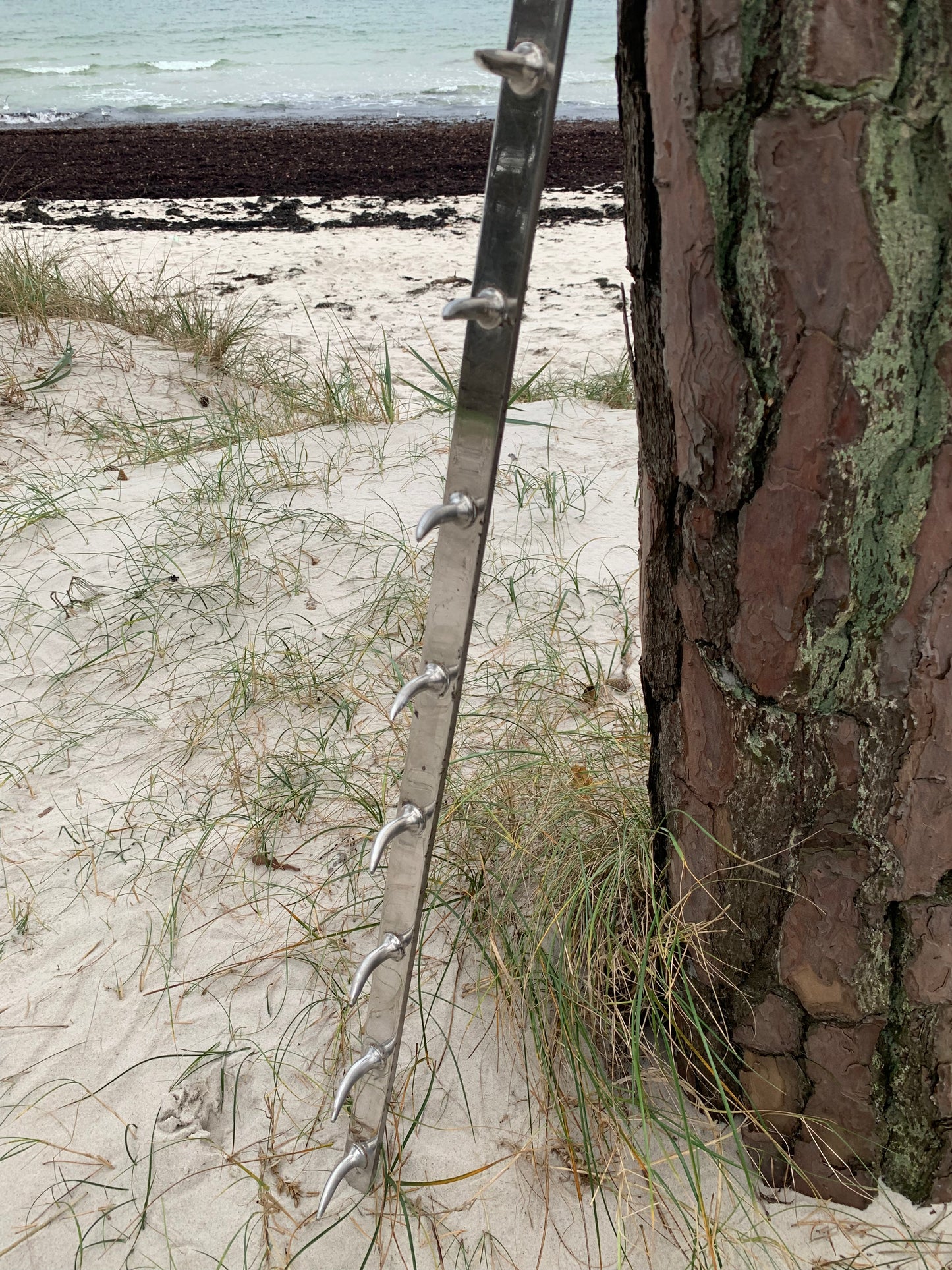 Fransk slagterknage