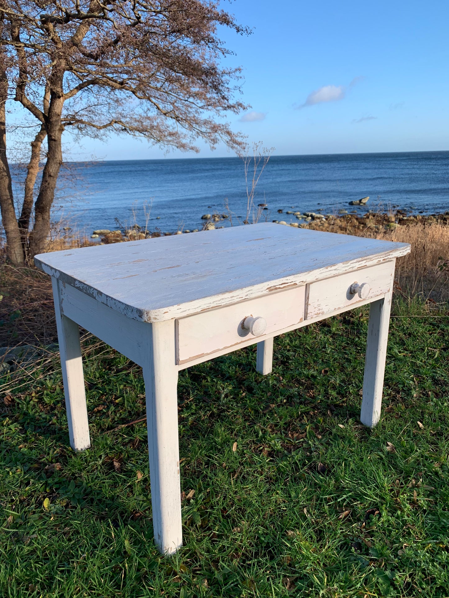 Børnebord med to skuffer