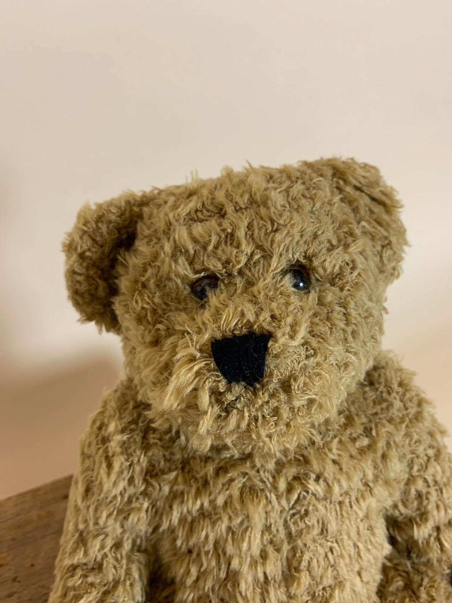 Sød Nalle bamse