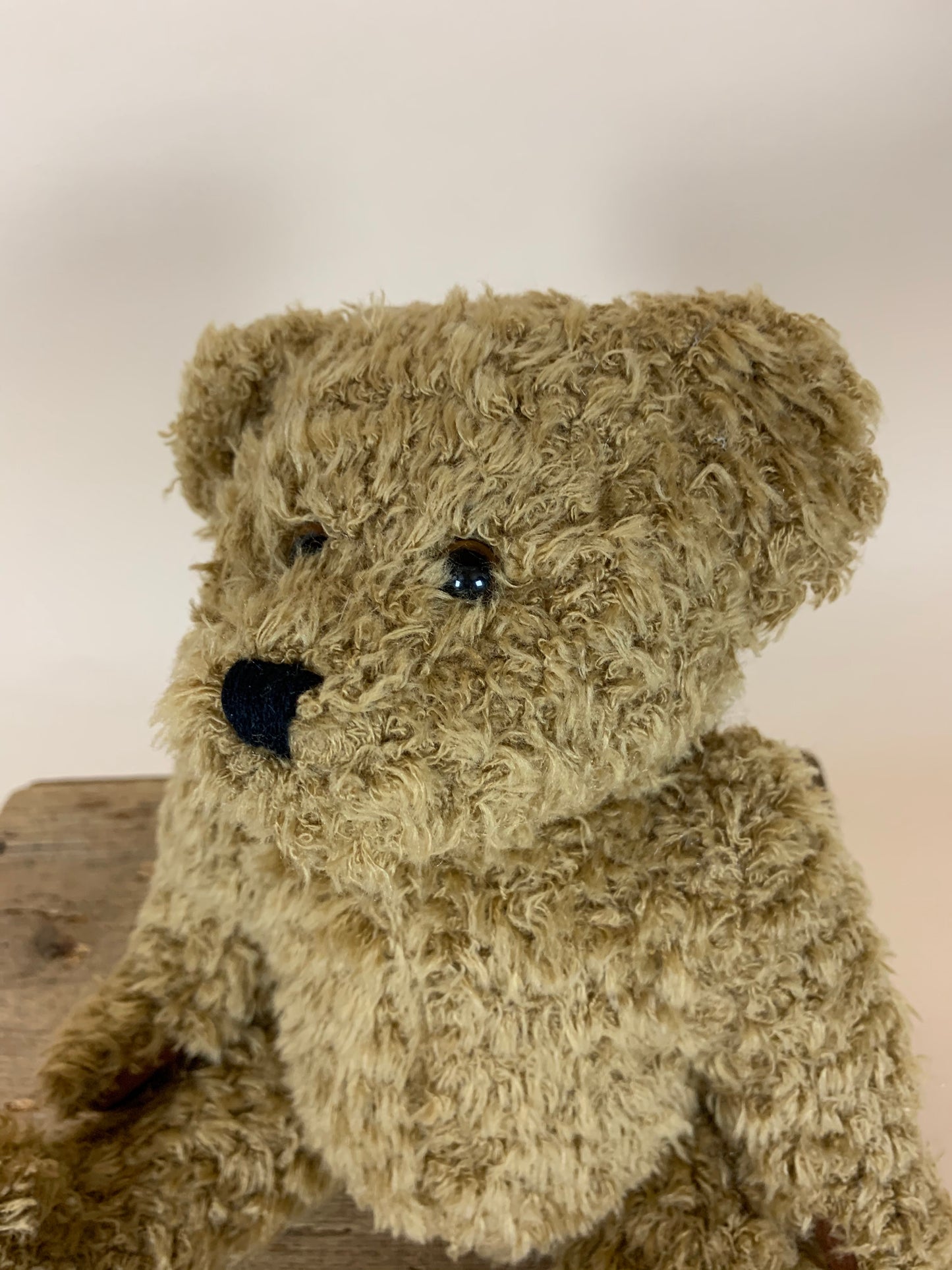 Sød Nalle bamse
