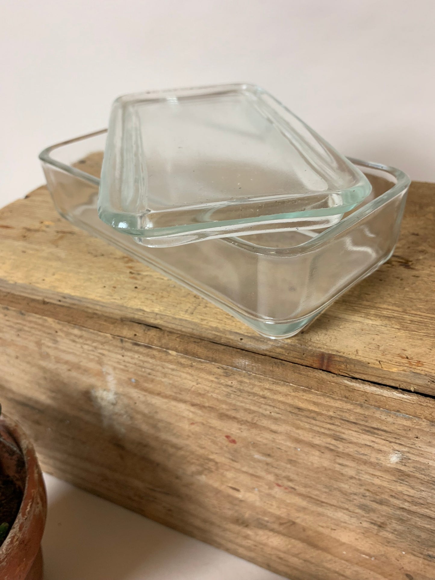 Glas med låg